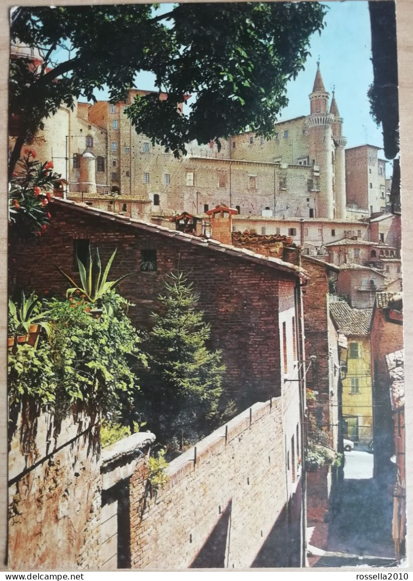 CARTOLINA 1974 ITALIA URBINO TORRICINI SCALETTA S.GIOVANNI Italy Postcard Italien Ansichtskarten - Urbino