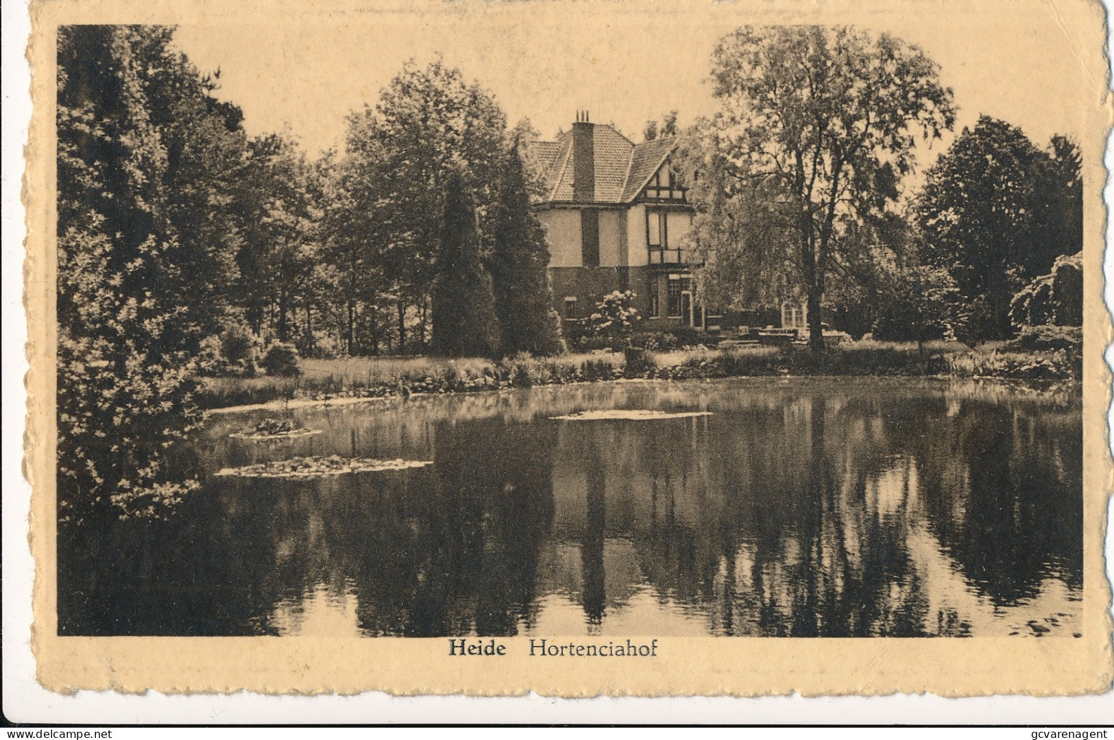 HEIDE  HORTENCIAHOF       2 SCANS - Kalmthout