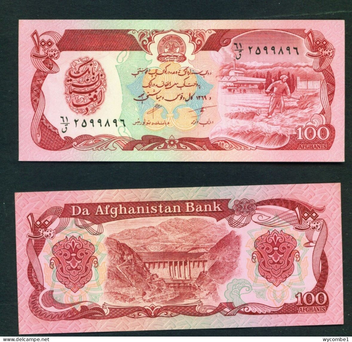 AFGHANISTAN  -  1990  100 Afghanis UNC Banknote - Afghanistán