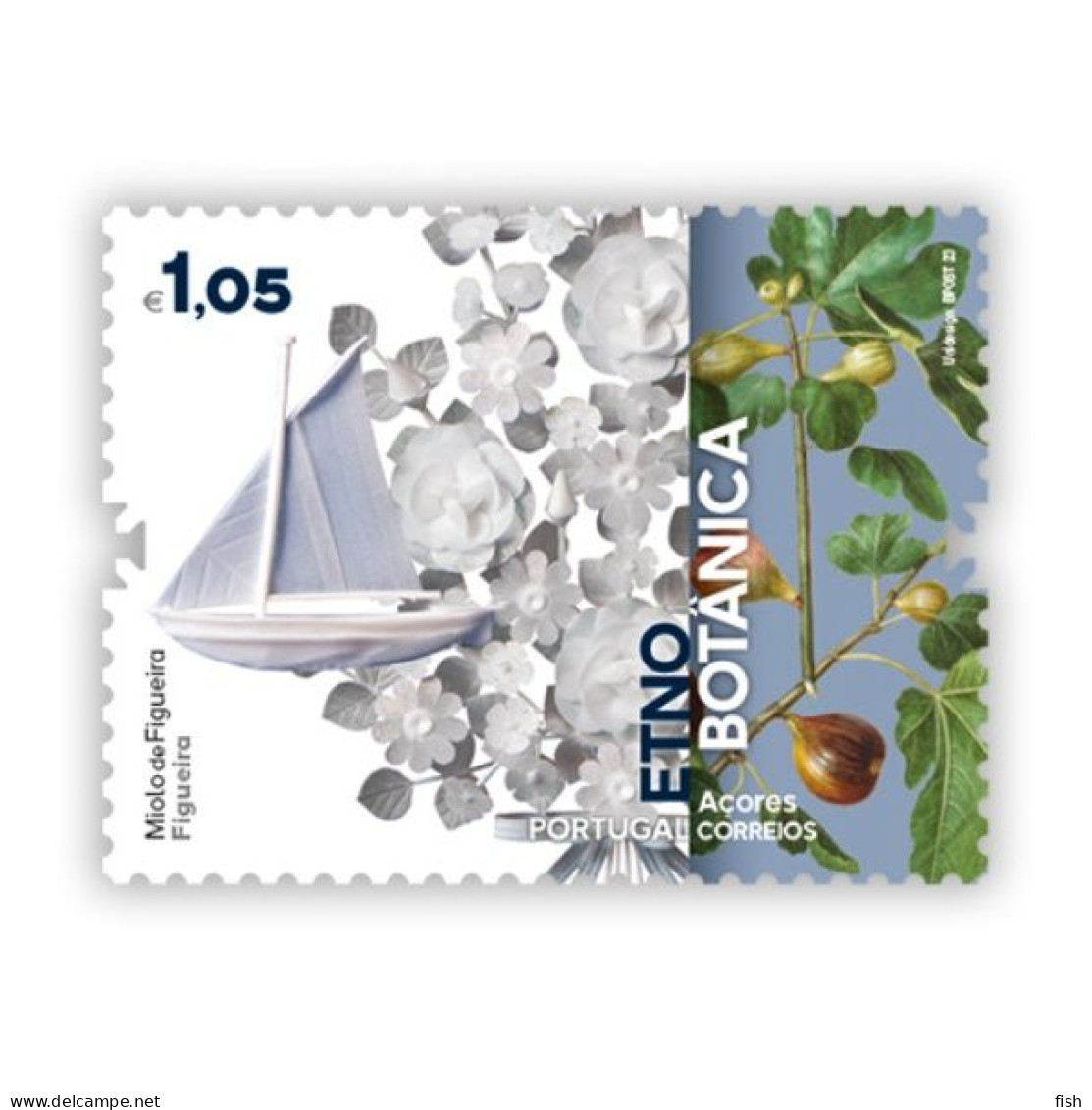 Portugal ** & Ethnobotany, Fig Core, Fig Tree, Azores 2023 (6777780) - Protection De L'environnement & Climat