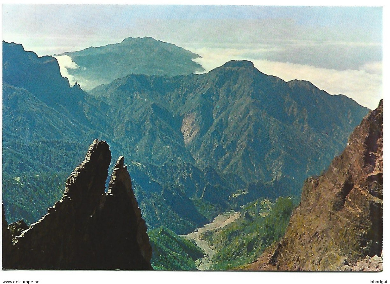 PARQUE NACIONAL DE LA CALDERA DE TABURIENTE GIGANTESCO CRATER,1600M PROFUNDIDAD - ISLA DE LA PALMA.- CANARIAS.- (ESPAÑA) - La Palma