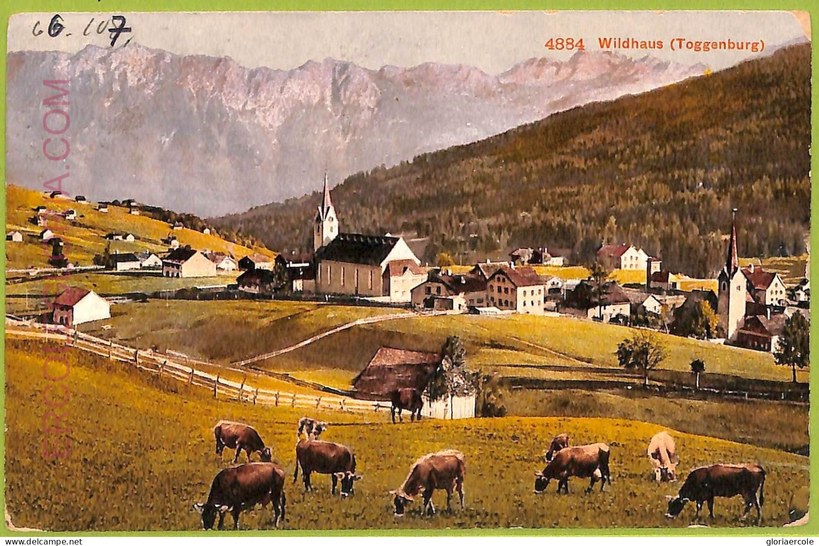 Ad6731 - SWITZERLAND Schweitz - Ansichtskarten VINTAGE POSTCARD - Wildhaus - Wil