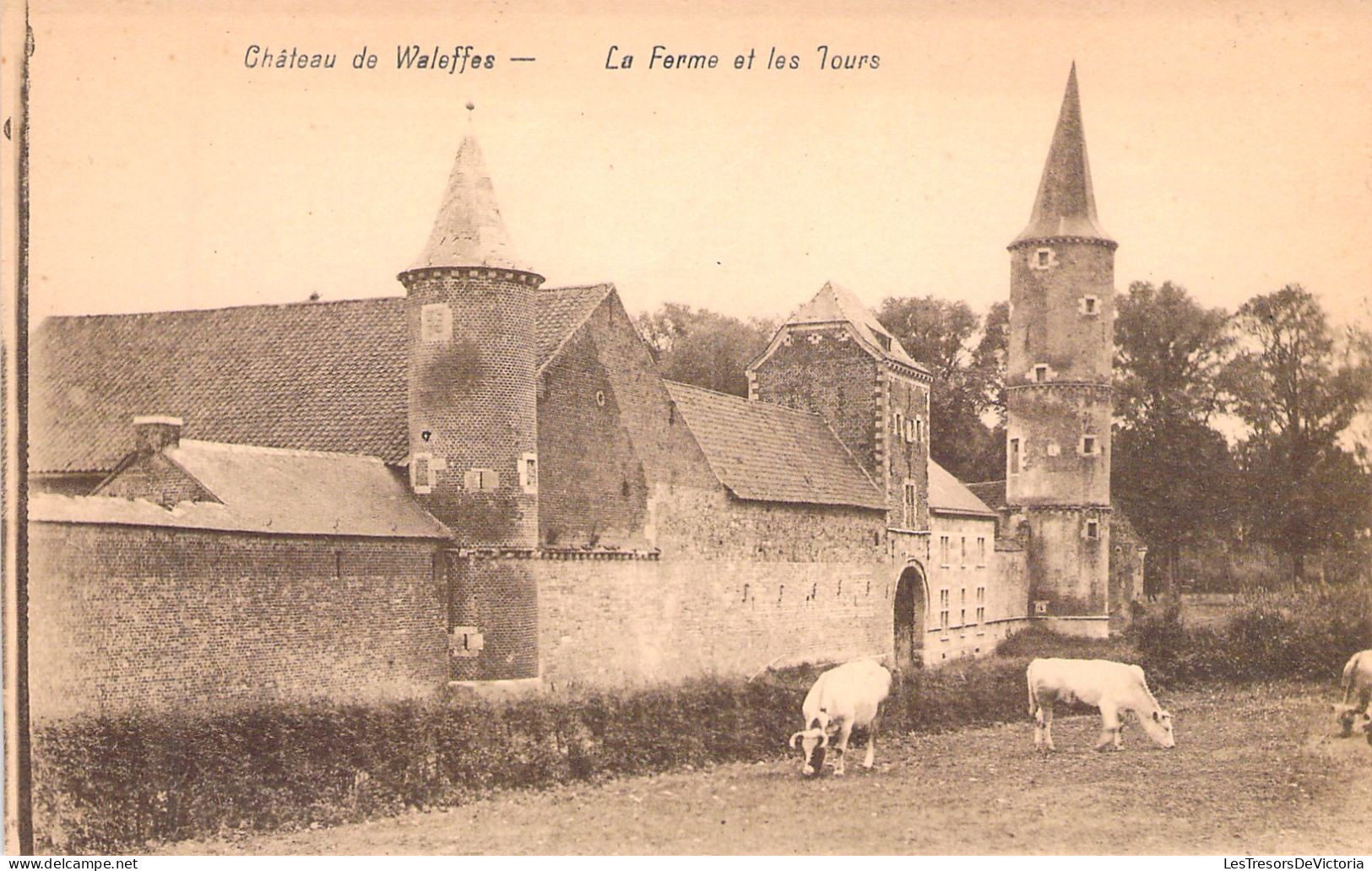 BELGIQUE - Chateau De Waleffes - La Ferme Et Les Tours - Carte Postale Ancienne - Sonstige & Ohne Zuordnung