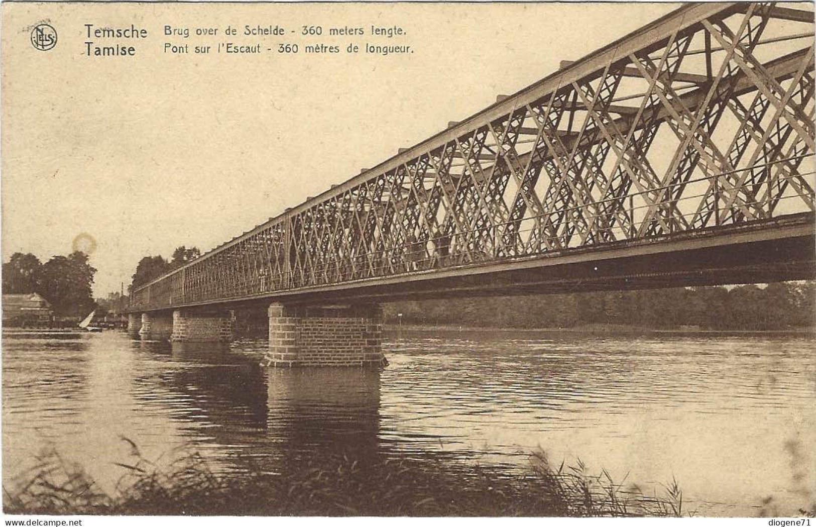 Temsche Brug Over De Schelde Tamise Pont Sur L'Escaut Animée - Temse