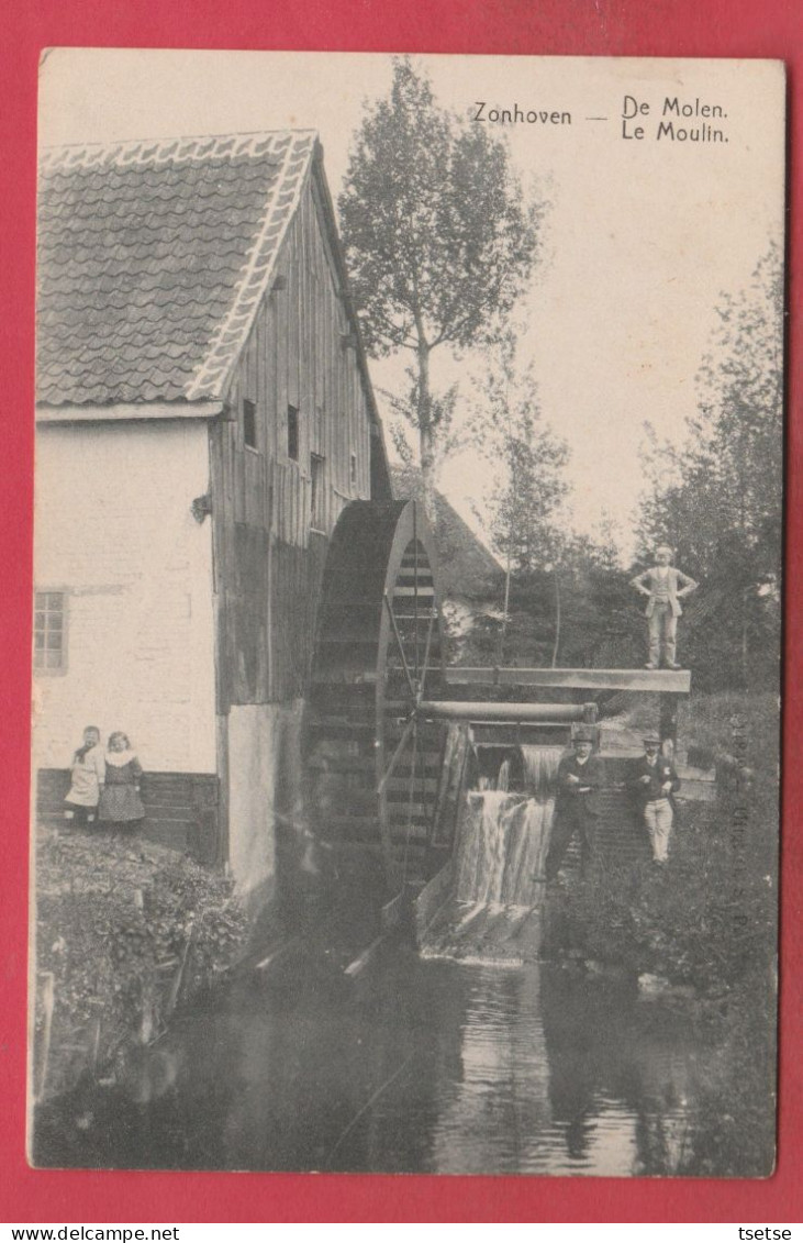 Zonhoven - De Molen ... Geanimeerd ( Verso Zien ) - Zonhoven