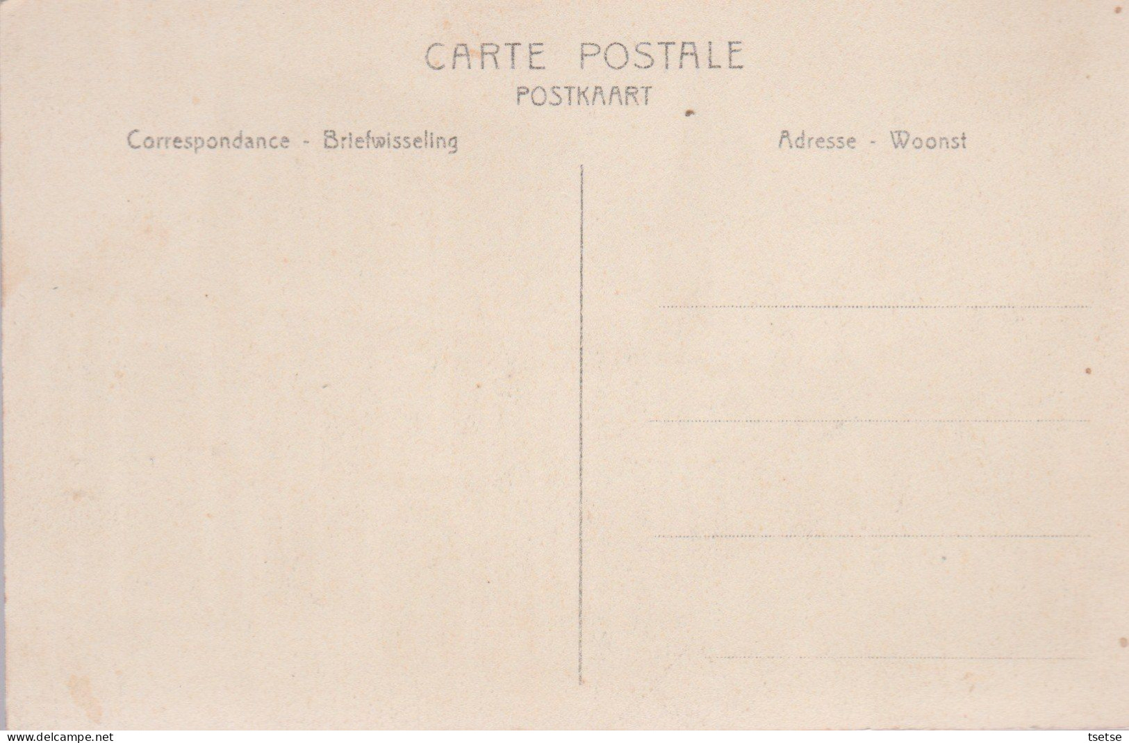 Zonhoven - Het Gemeentehuis En De Kerk ( Verso Zien ) - Zonhoven