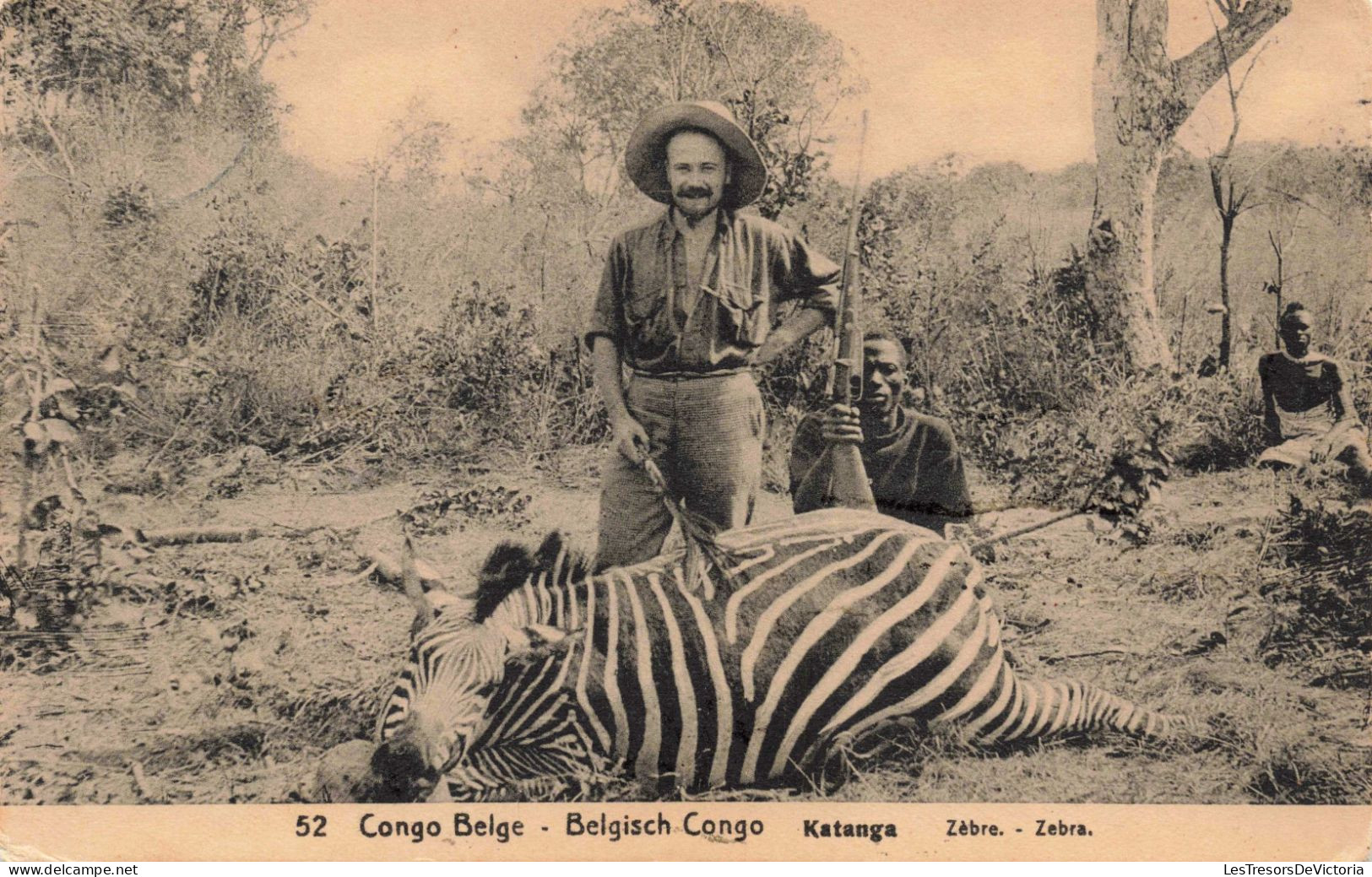 CONGO BELGE - Belgisch Congo - Katanga - Zèbre - Carte Postale Ancienne - Congo Belga