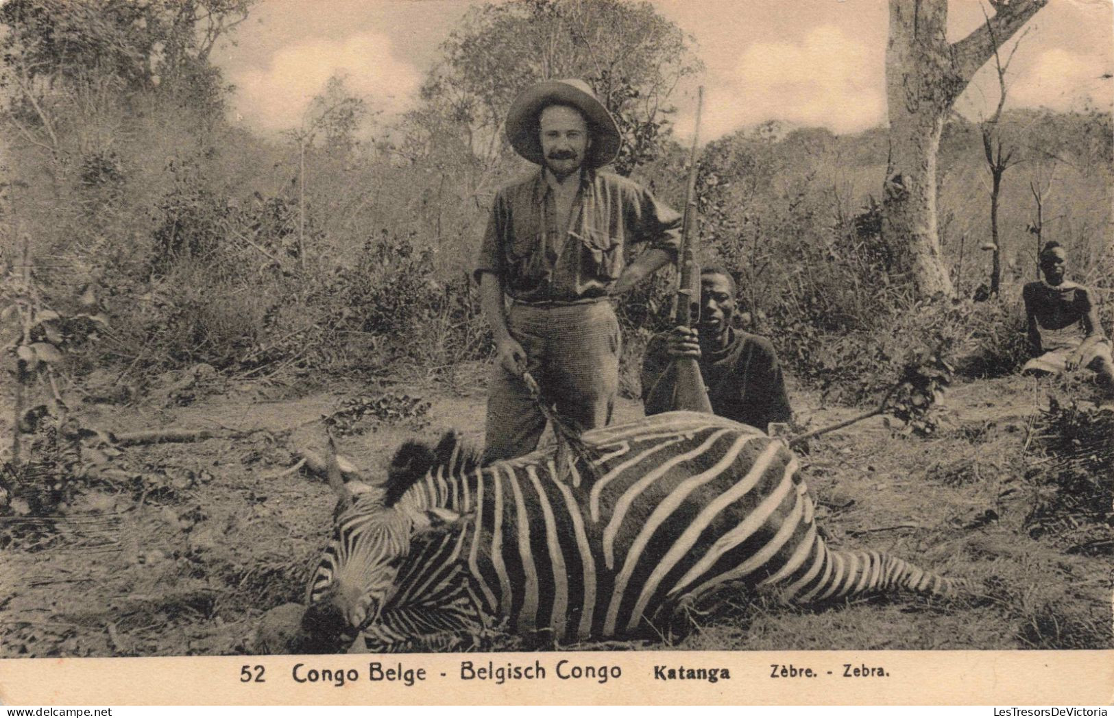 CONGO BELGE - Katanga - Zèbre - Carte Postale Ancienne - Belgian Congo