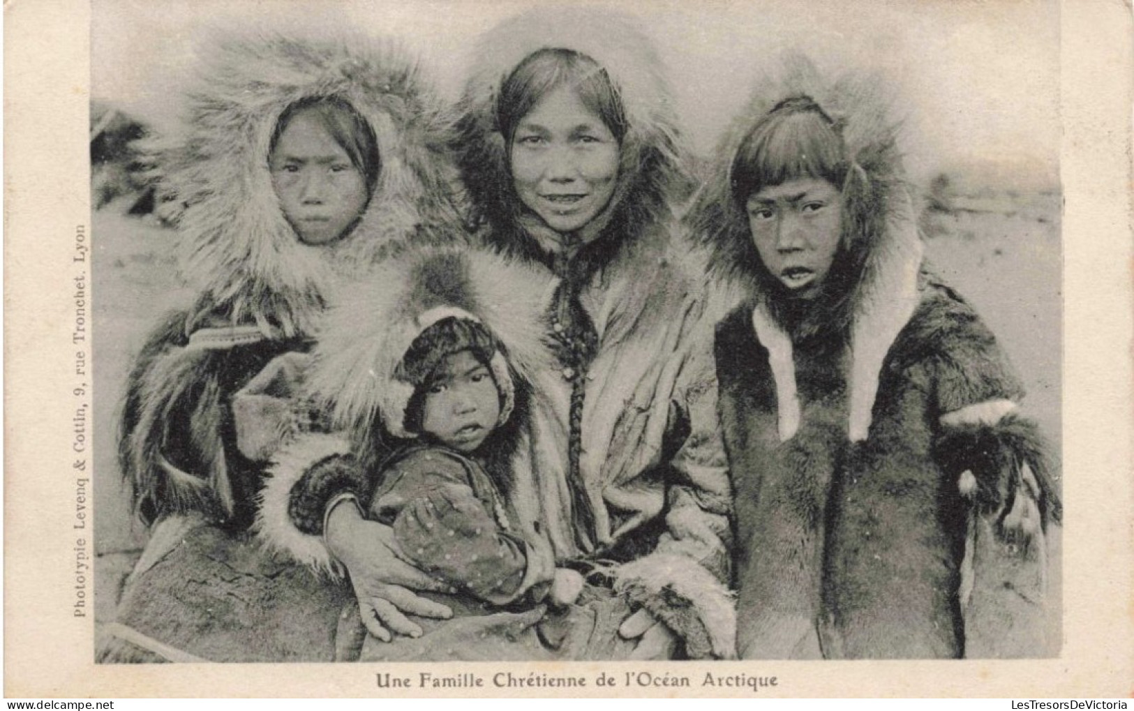 ANTARCTIQUE - Une Famille De L'Océan Arctique - Carte Postale Ancienne - Unclassified