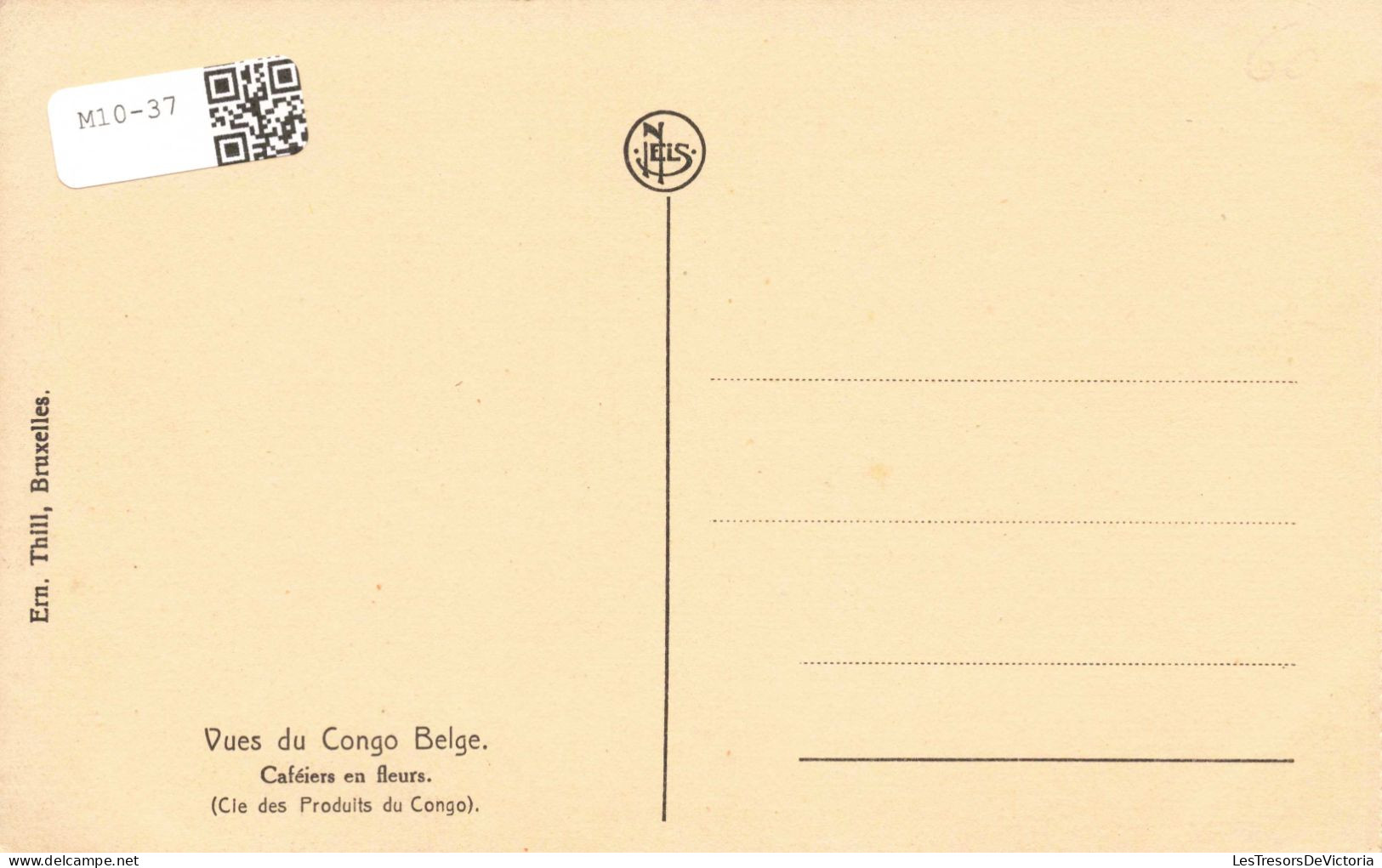 CONGO BELGE - Vues Du Congo Belge - Caféiers En Fleurs - Carte Postale Ancienne - Congo Belga