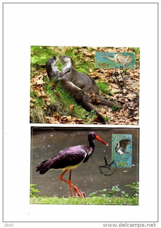 Carte Maximum 2015  Protection De La Nature Cigogne Et Loutre : Black Stork And River Otter - FDC