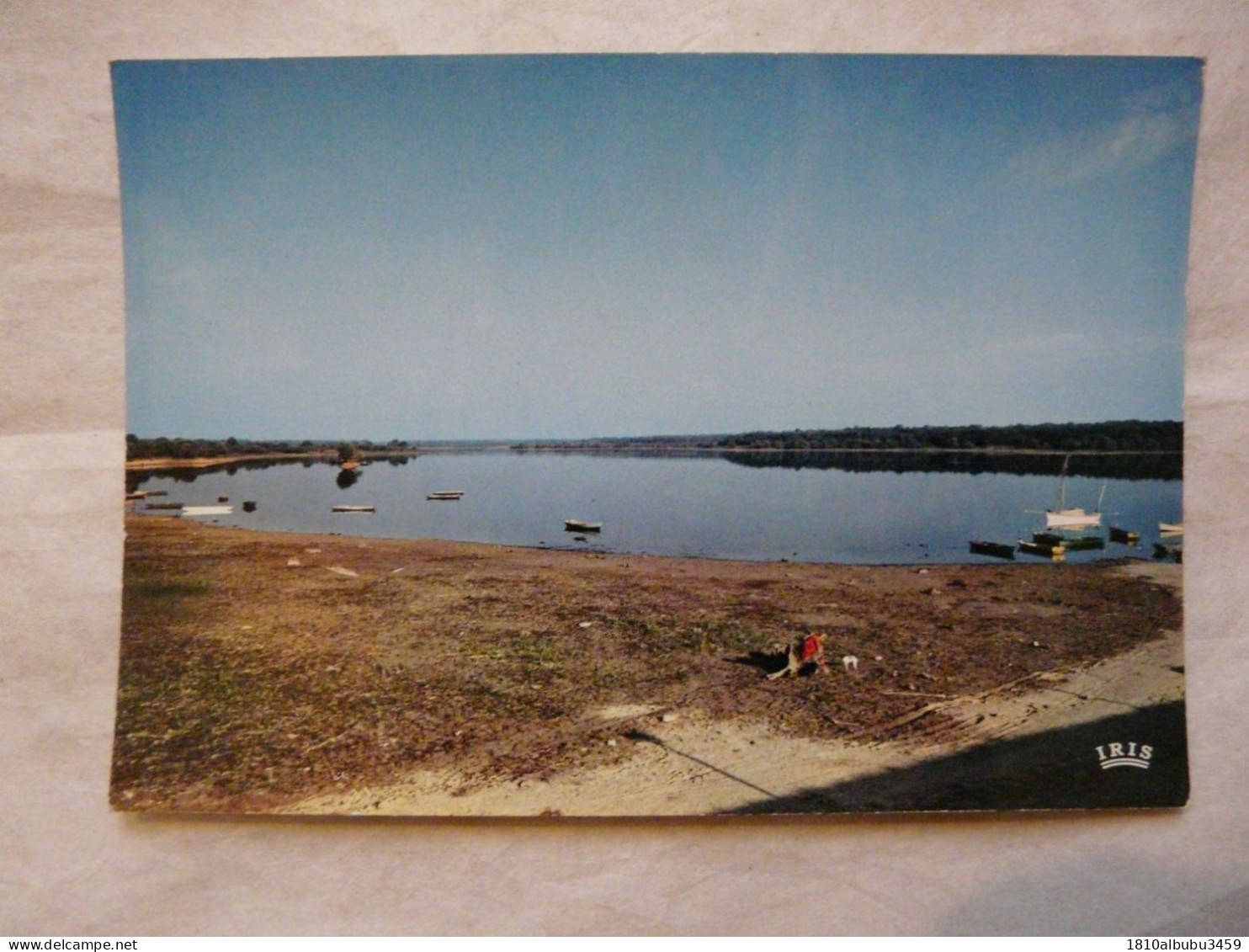 CPSM 52 HAUTE MARNE - ECLARON : Etang Du DER - Eclaron Braucourt Sainte Liviere