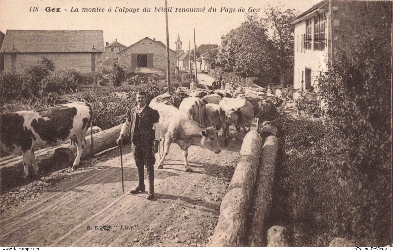 FRANCE - Gex - La Montée à L'alpage Du Bétail Renommé Du Pays De Gex - Carte Postale Ancienne - Gex