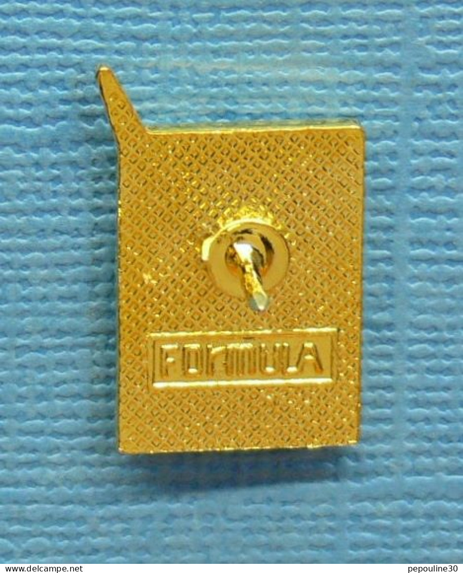 1 PIN'S //  ** " C.E.A. " COMMISSARIAT À L'ÉNERGIE ATOMIQUE " D.A.M. " DIRECTION APPLICATIONS MILITAIRES ** . (Formula) - EDF GDF