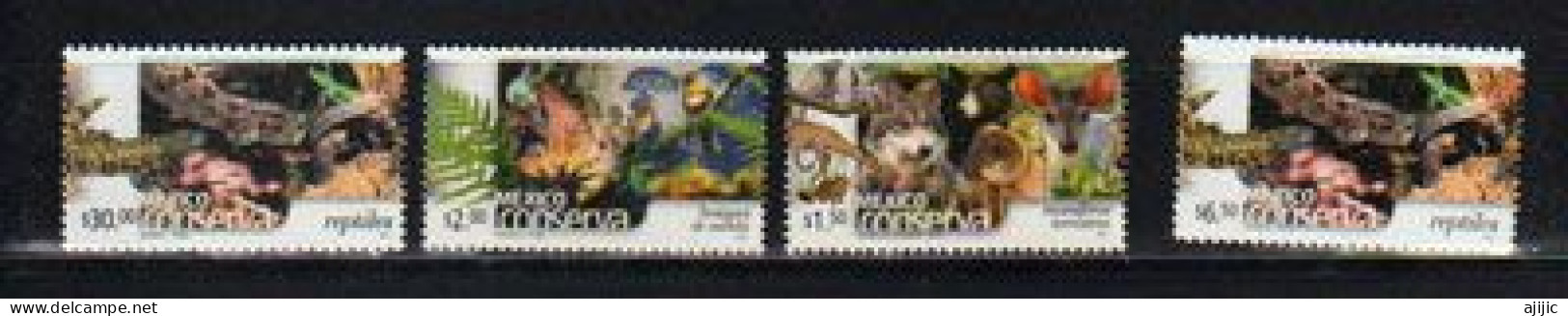 MEXICO CONSERVA.Protection De La Nature Et Environnement. 4 Timbres Neufs ** (Reptiles,Mamiferos Terrestres,etc) - Protection De L'environnement & Climat