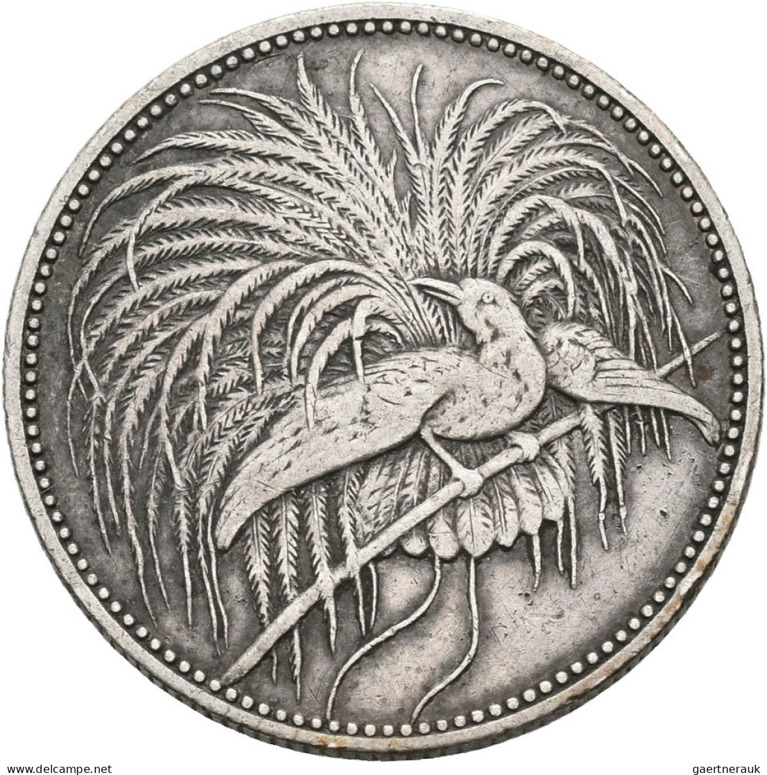Deutsch-Neuguinea: 1 Neu-Guinea Mark 1894 A, Paradiesvogel, Jaeger N705, Winzige - Nouvelle Guinée Allemande