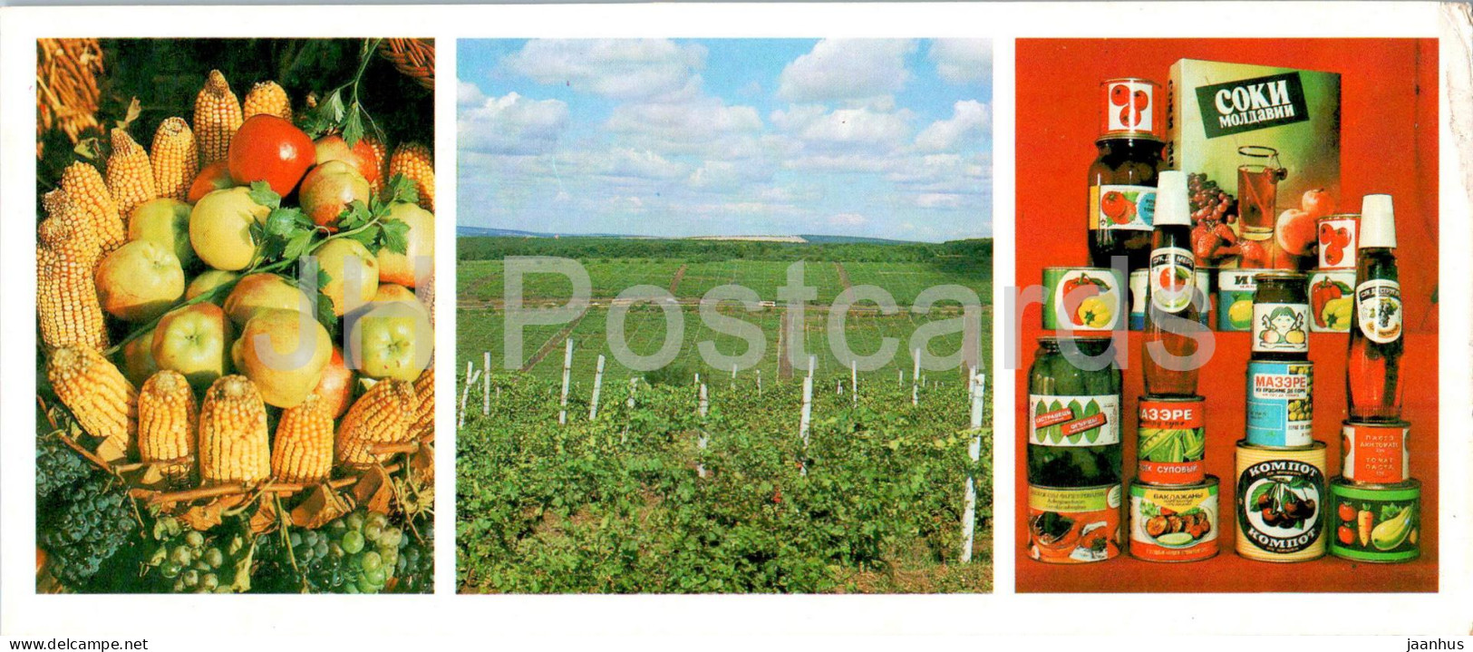 Gifts From The Moldovan Region - Vineyards - Products Of The Tiraspol Cannery - Apple - 1985 - Moldova USSR - Unused - Moldova