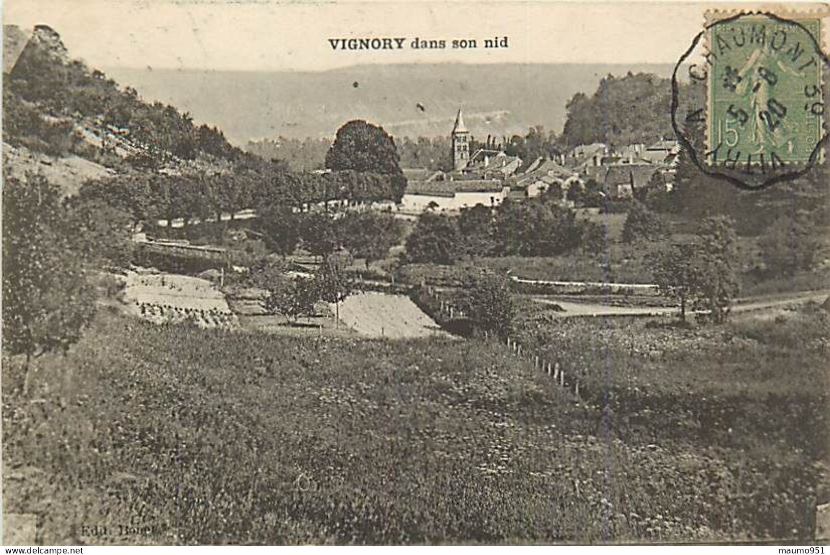 52 VIGNORY - Dans Le Nid - Vignory