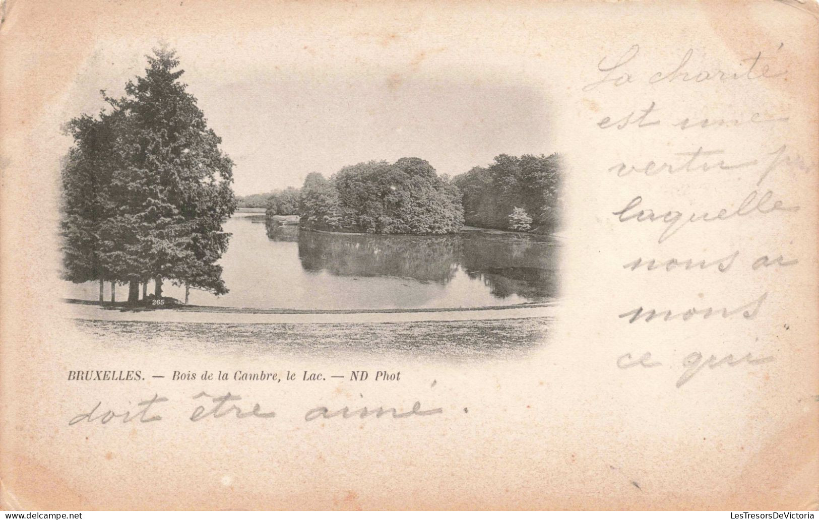 BELGIQUE - Bruxelles - Bois De La Cambre, Le Lac - ND Phot - Carte Postale Ancienne - Piazze