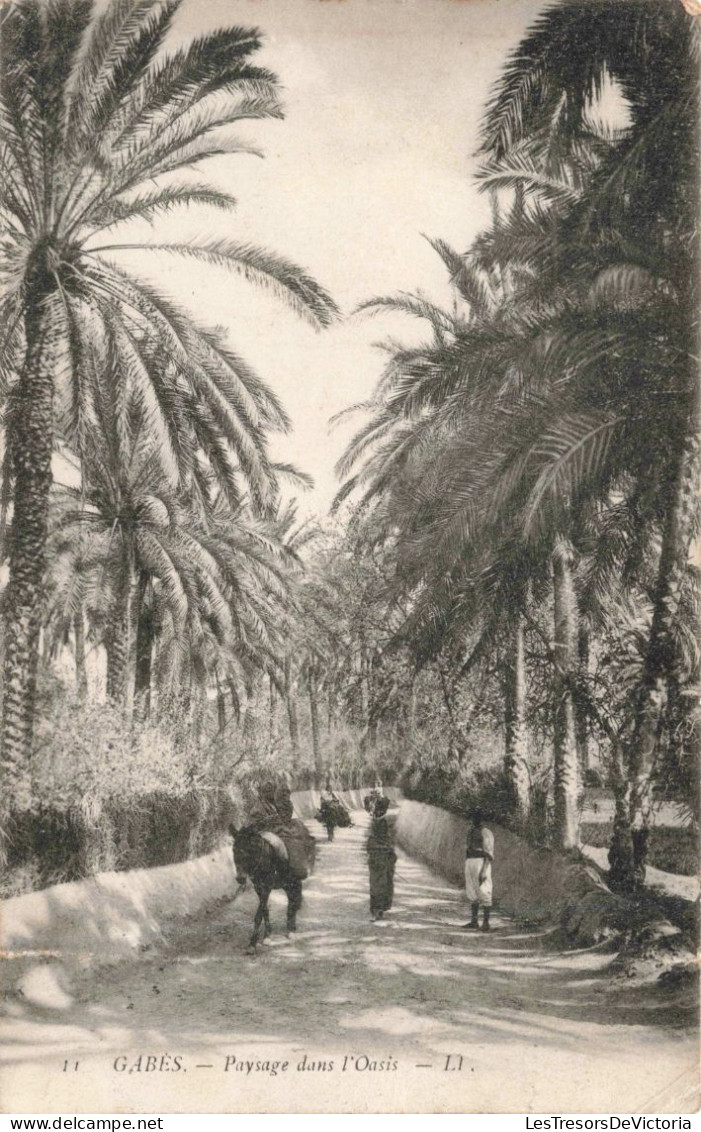 TUNISIE - Paysage Dans L'Oasis - Carte Postale Ancienne - Tunisia