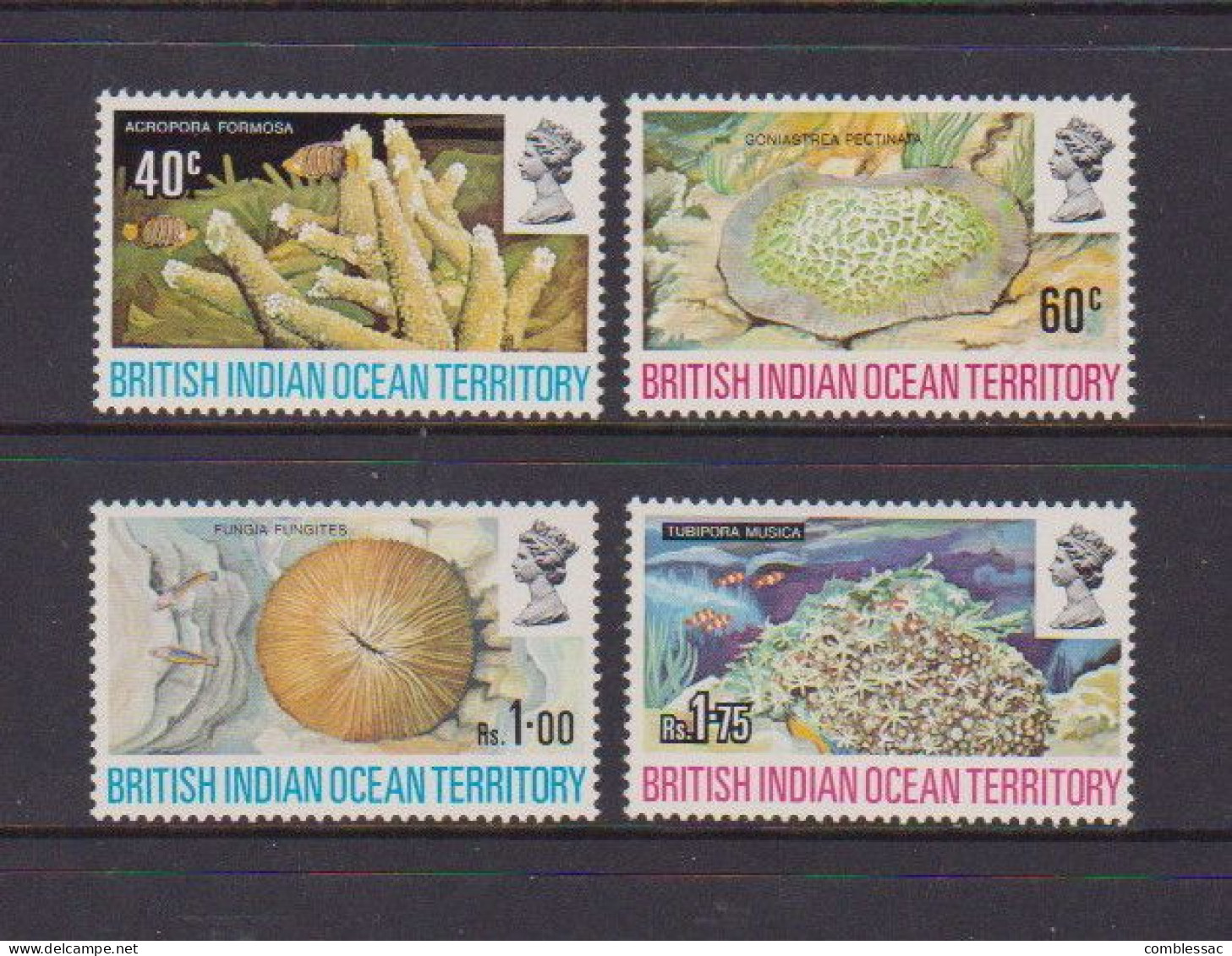 BRITISH  INDIAN  OCEAN  TERRITORY     1972    Corals    Set  Of  4    NH - Territoire Britannique De L'Océan Indien