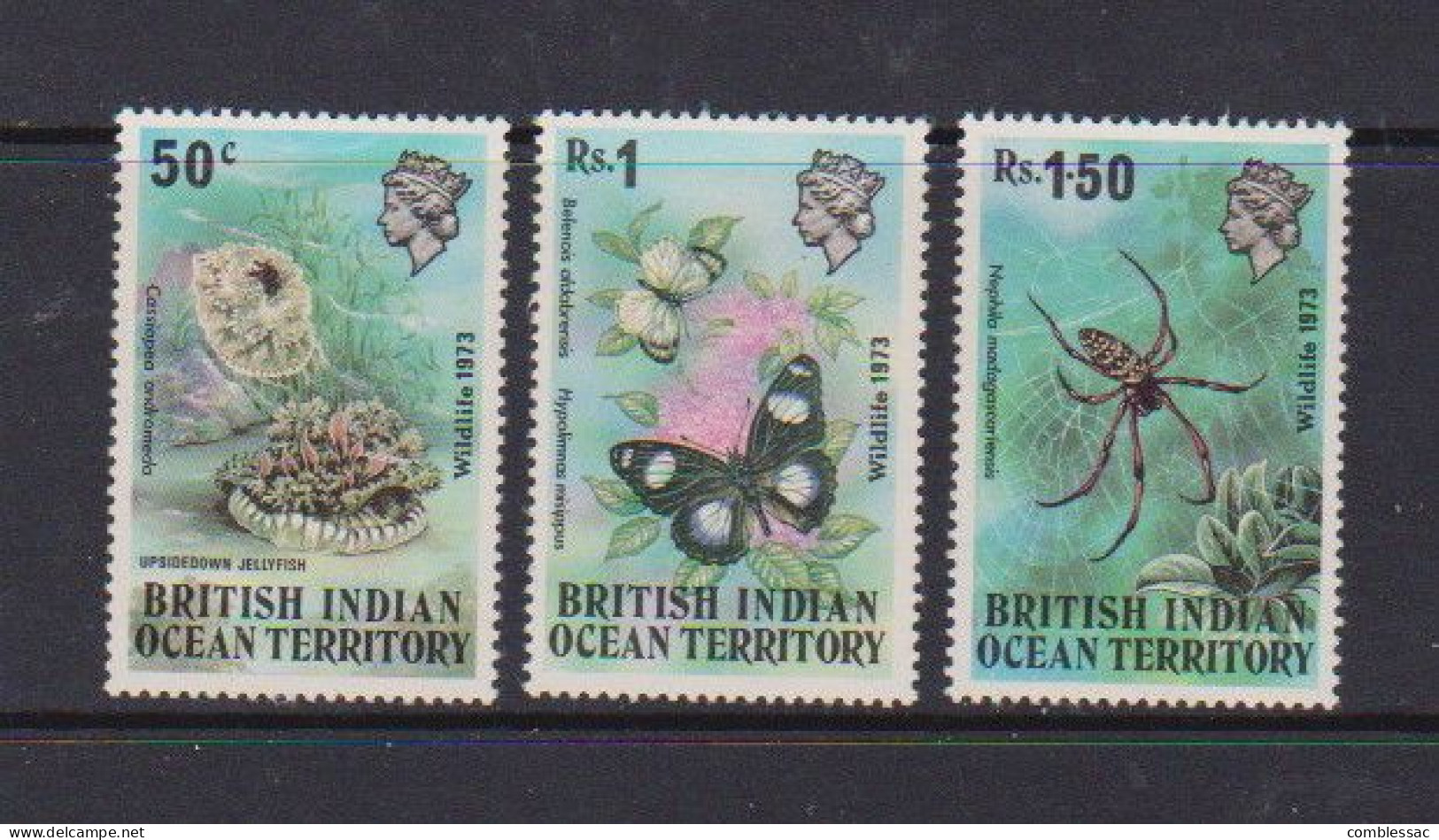 BRITISH  INDIAN  OCEAN  TERRITORY     1973    Wildlife    (1st Series)    Set  Of  3    MH - British Indian Ocean Territory (BIOT)