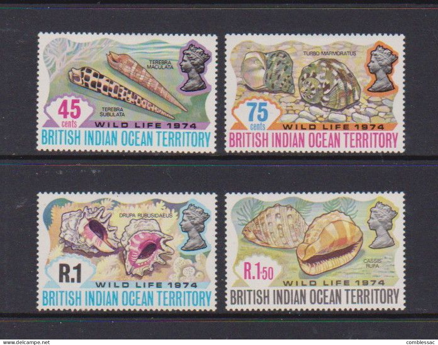 BRITISH  INDIAN  OCEAN  TERRITORY     1974    Wildlife    (2nd  Series)    Set  Of  4    MH - Territorio Britannico Dell'Oceano Indiano