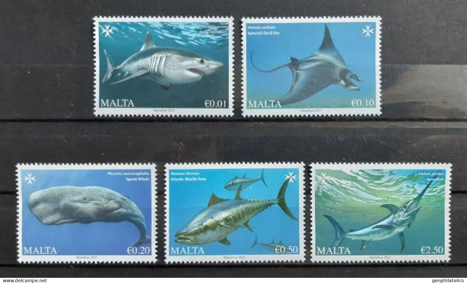 MALTA 2023 FAUNA Sea Animals SHARK WHALE FISH RAY - Fine Set MNH - Malte