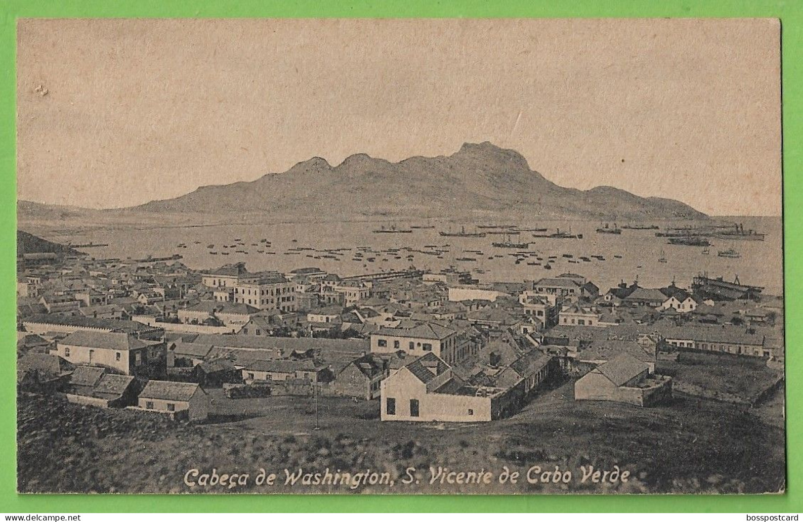 S. Vicente - Cabeça De Washington - Cabo Verde - Cap Vert