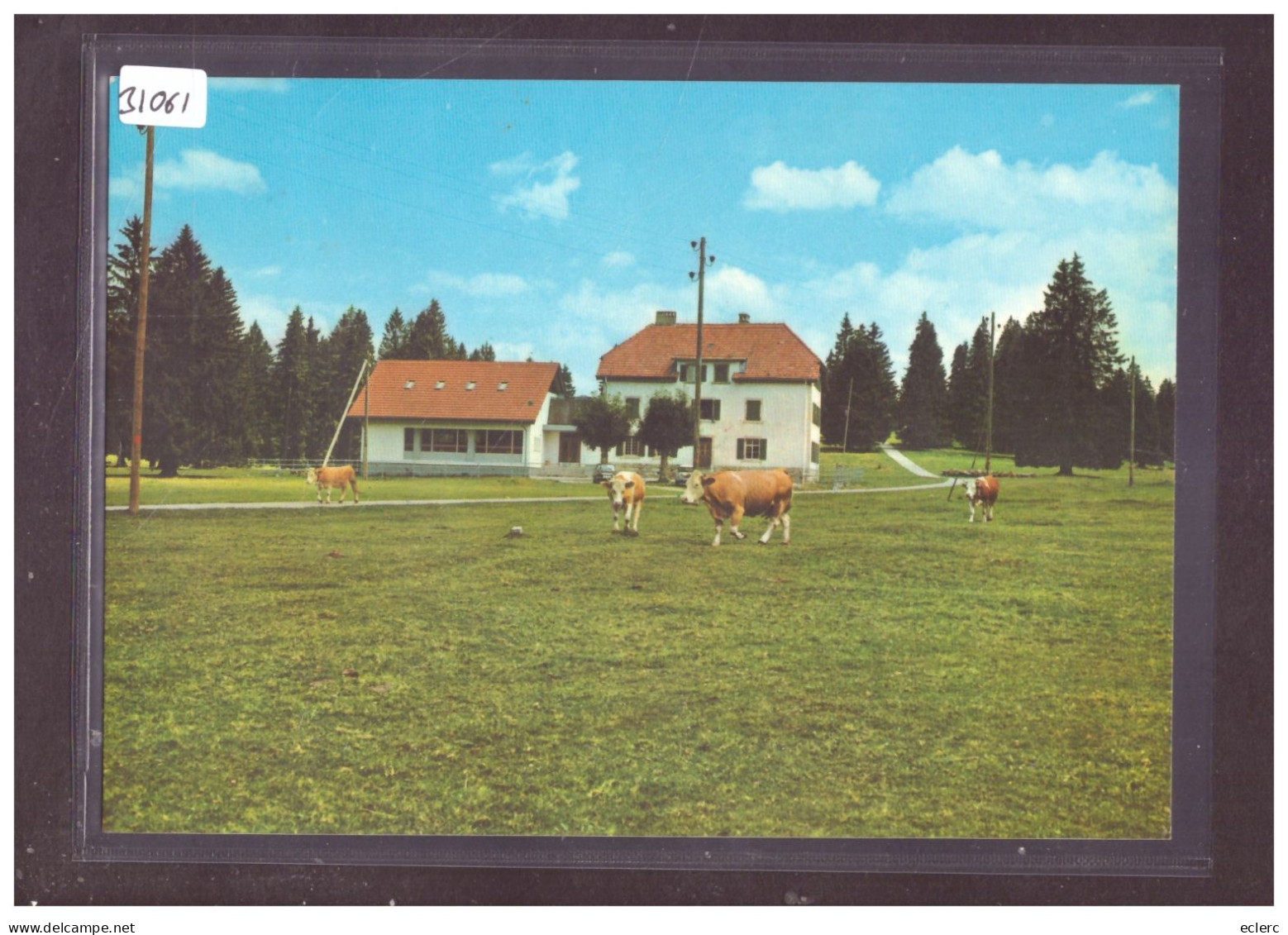 FORMAT 10x15cm - MAISON DE VACANCES DE BONCOURT AUX EMIBOIS - TB - Boncourt