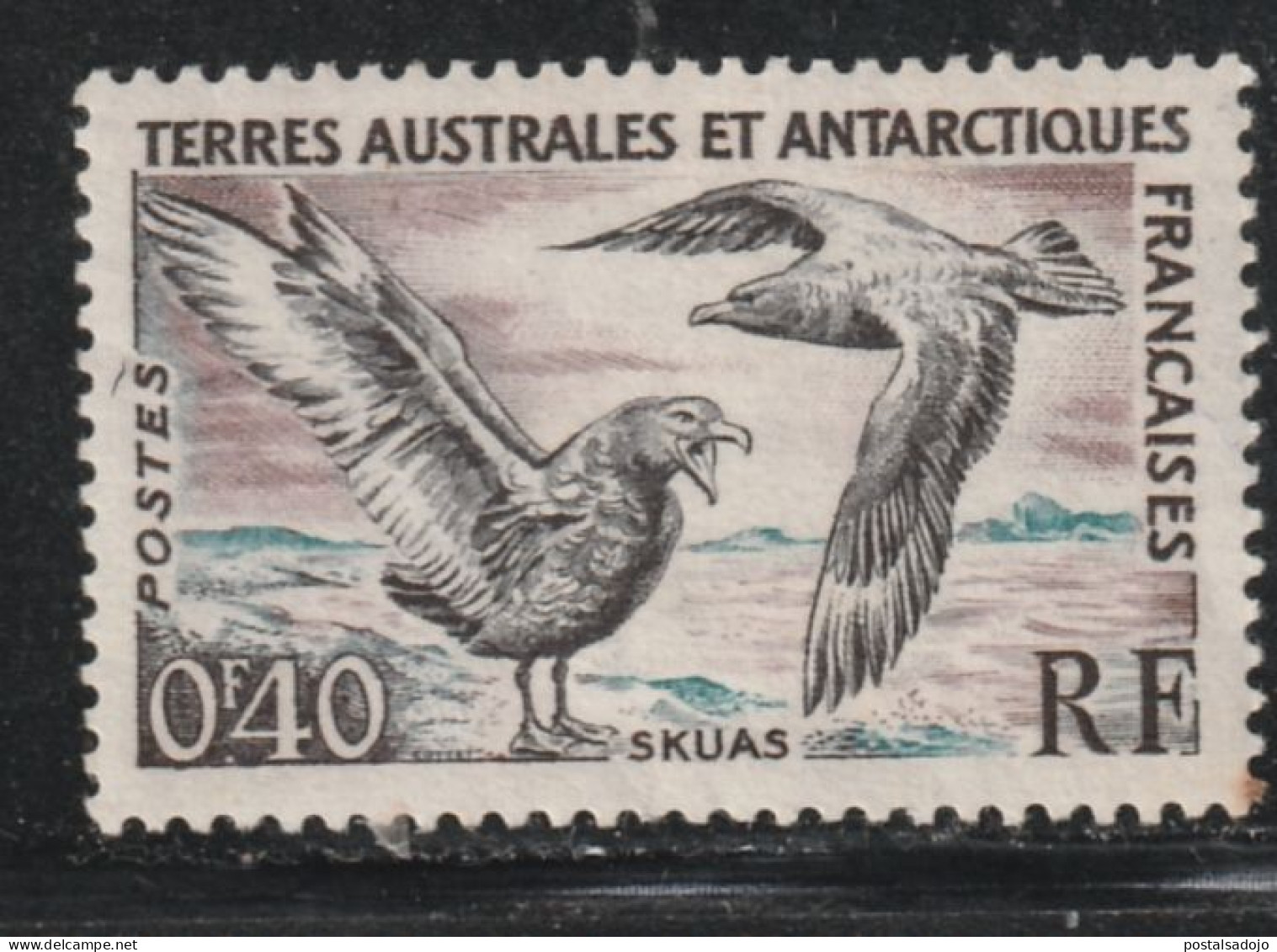 TERRES AUSTRALES ET ANTARCTIQUES  11 // YVERT 13 (NEUF AVEC CHARNIÉRE) 77 1959-63 - Used Stamps