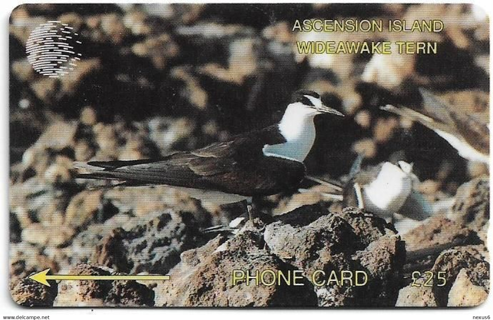 Ascension Island - C&W - GPT - 3CASD - Wideawake Tern, 1992, 4.600ex, Used - Ascension