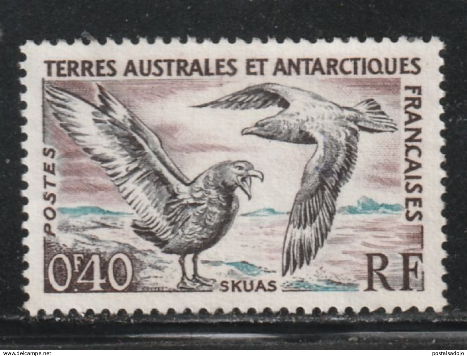 TERRES AUSTRALES ET ANTARCTIQUES  12 // YVERT 13  // 1959-63 - Used Stamps