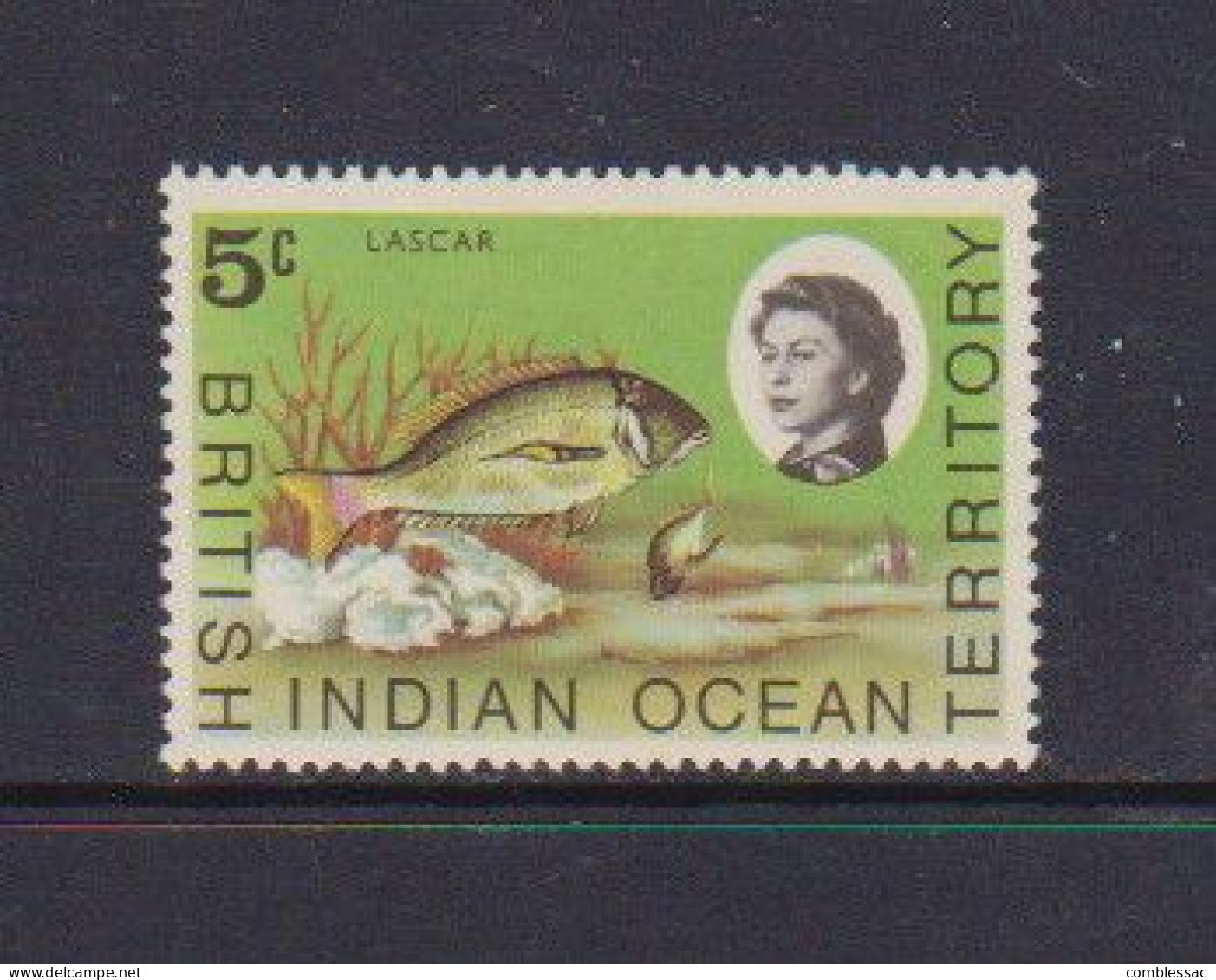 BRITISH  INDIAN  OCEAN  TERRITORY     1968    Marine  Life    5c  Multicoloured    MH - Britisches Territorium Im Indischen Ozean