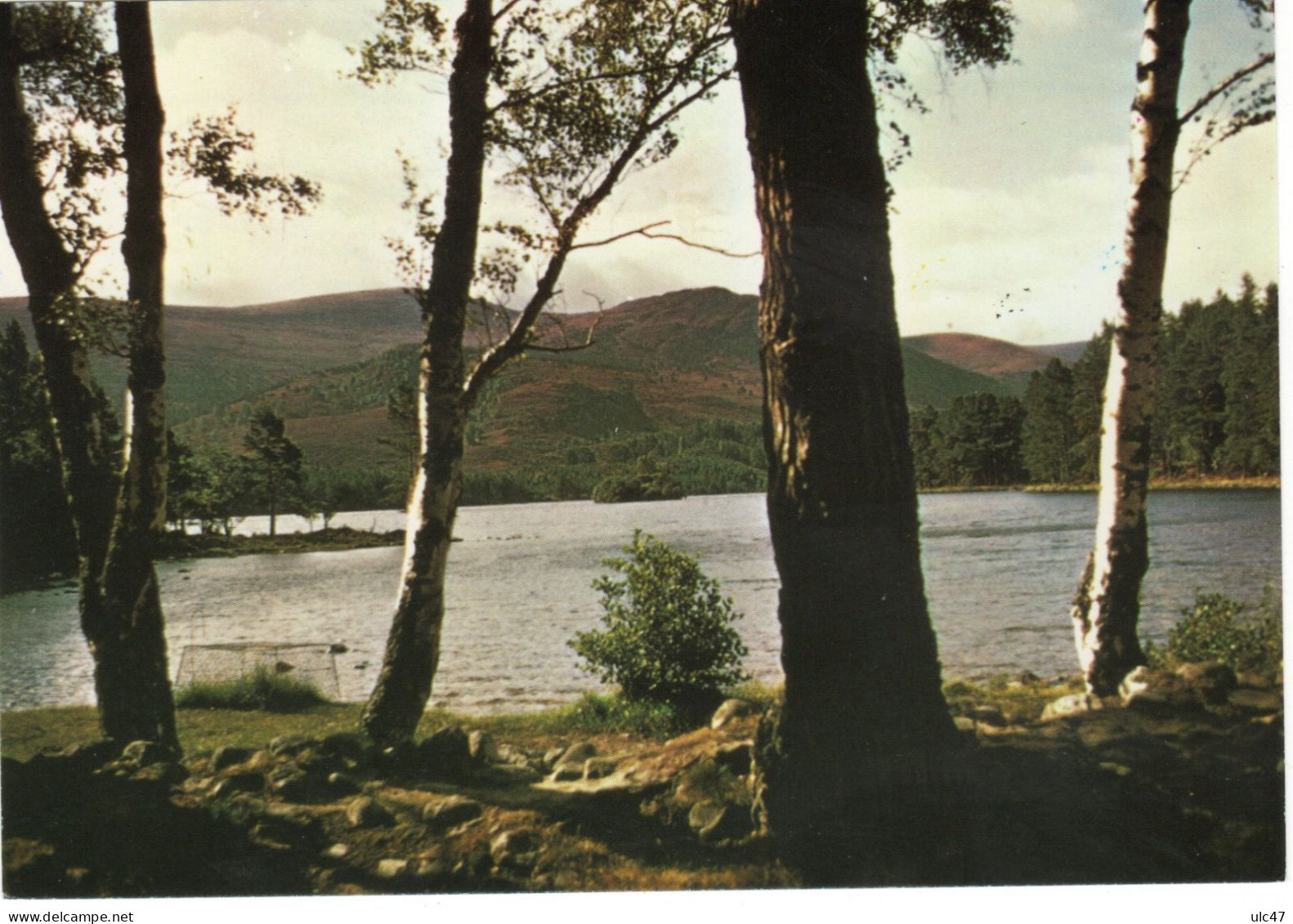 - Inverness-Shire - Loch An Eilean-near Aviemore - Scan Verso - - Inverness-shire