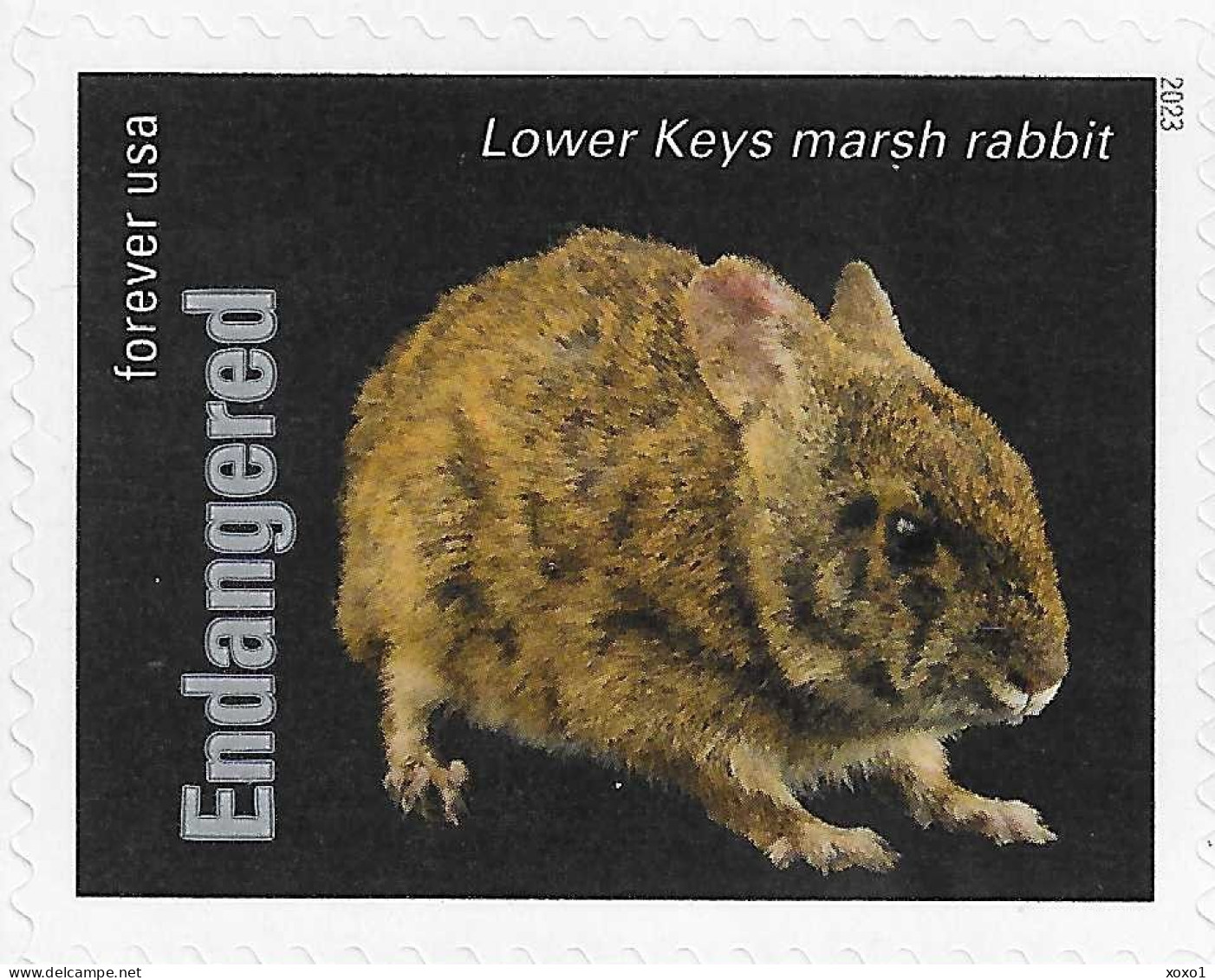 USA 2023 MiNr. 6060ba Endangered Species Mammals Lower Keys Marsh Rabbit (Sylvilagus Palustris Hefneri) 1v MNH ** 1.40 € - Lapins