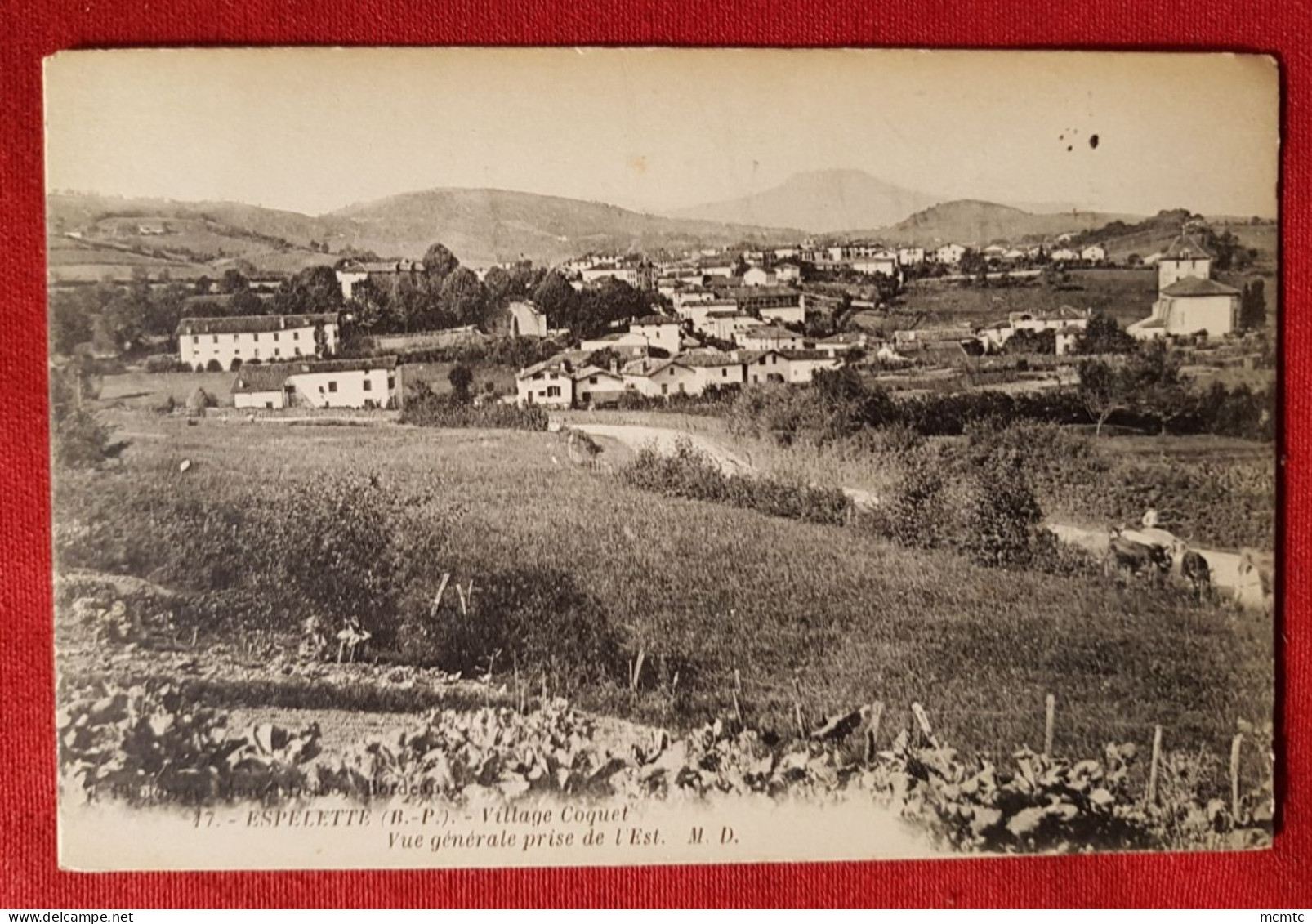 CPA - Espelette-(B.-P.) -  Village Coquet - Vue Générale Prise De L'est - Espelette