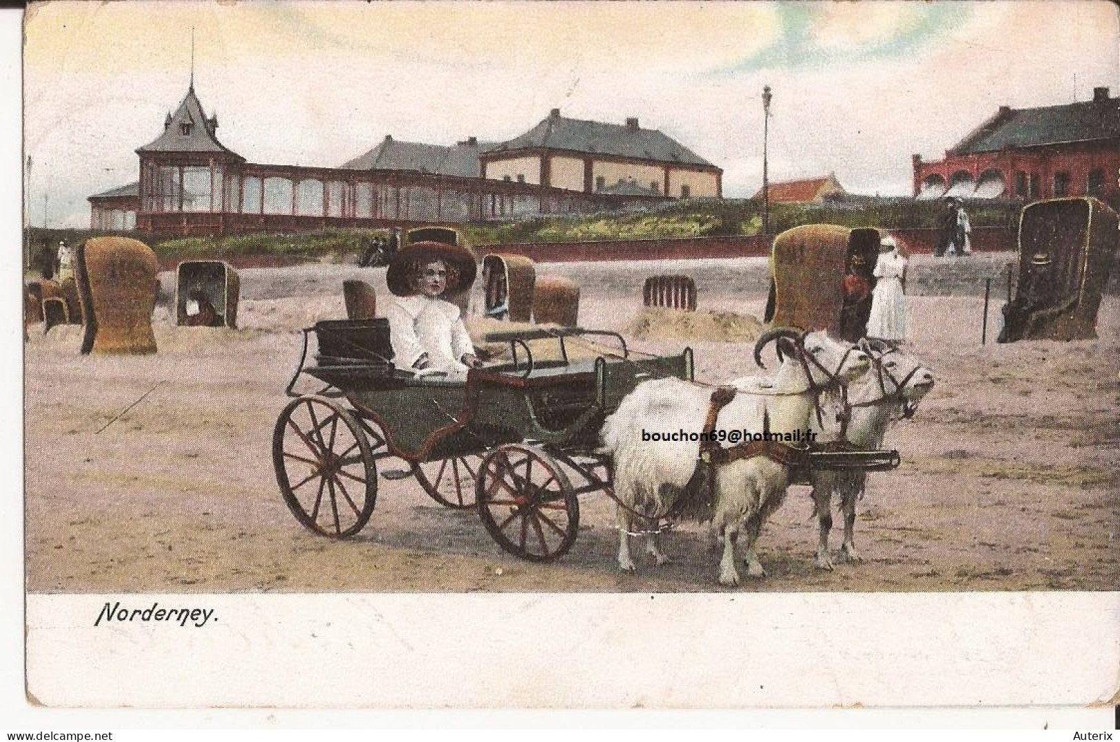 Allemagne Norderney Ziege Goat Cart Attelage Chevre - Norderney