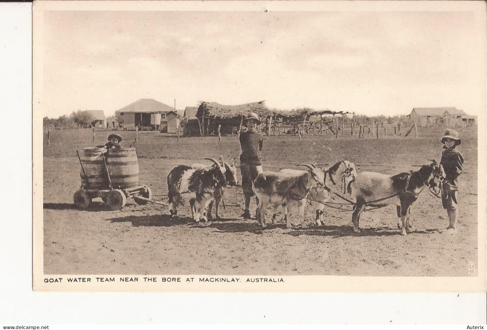 Australie Queensland Goat Water Team Near The Bore At Mackinlay Ziege Goat Cart Attelage Chevre - Altri & Non Classificati