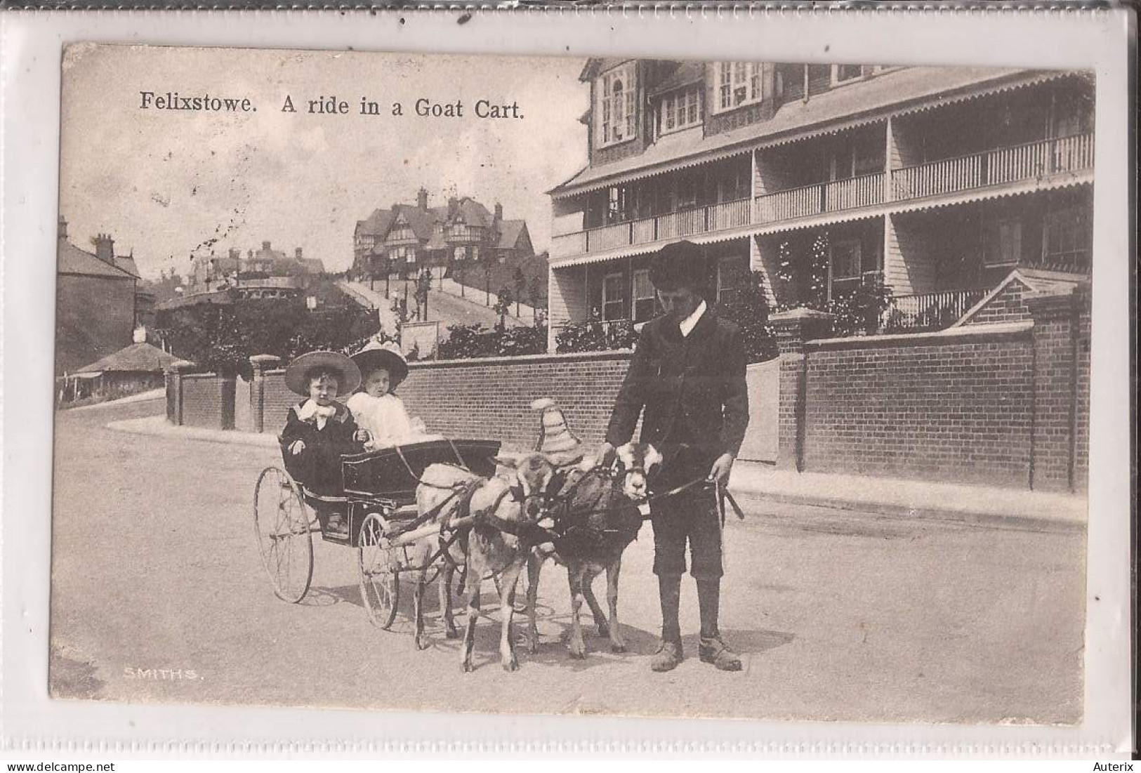 Angleterre Suffolk Felixstowe A Ride In  Ziege Goat Cart Attelage Chevre Postee D'avallon - Autres & Non Classés