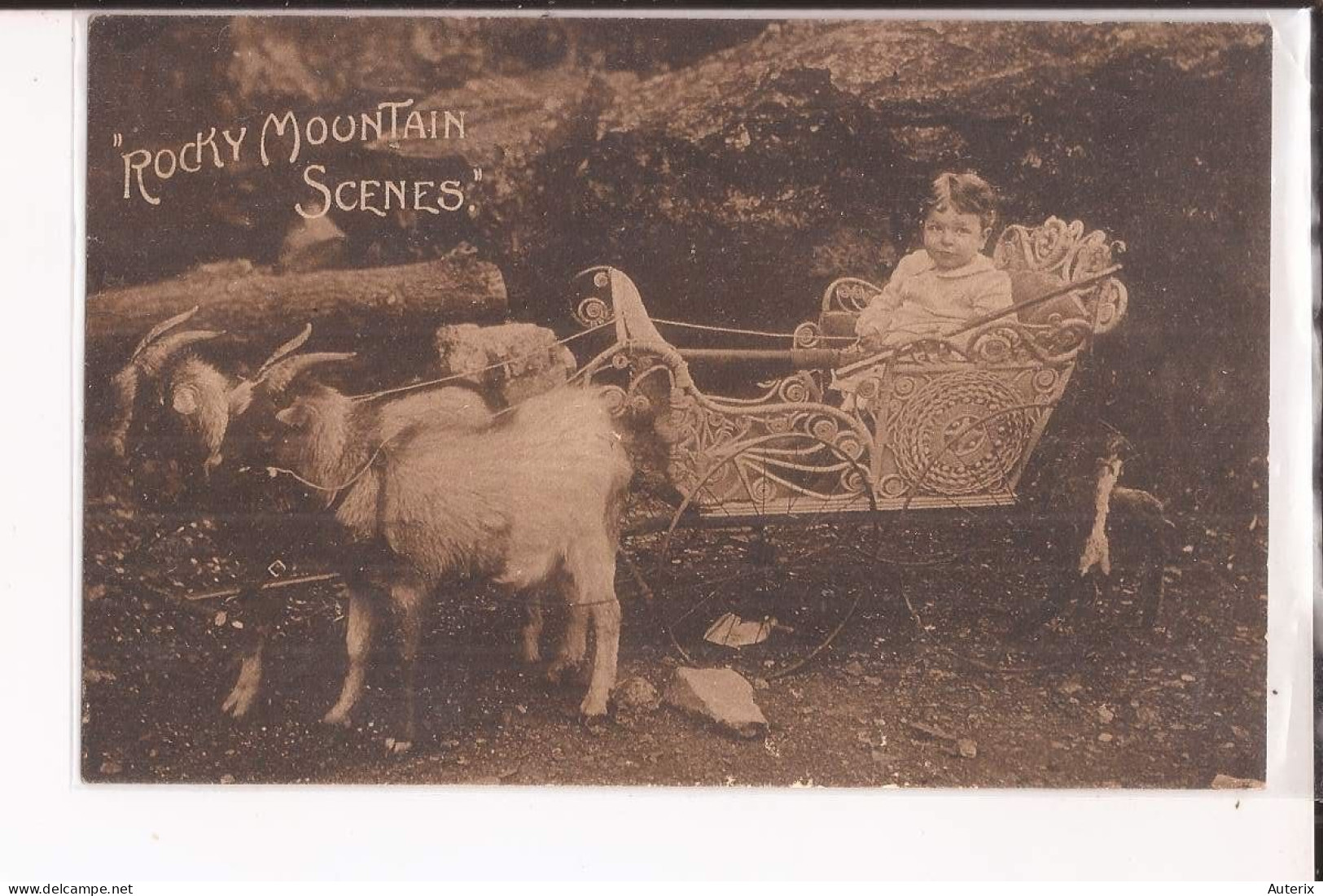 Usa Rocky Mountain Scenes Baby Posted At Colombus Ohio 1912 Ziege Goat Cart Attelage Chevre - Columbus