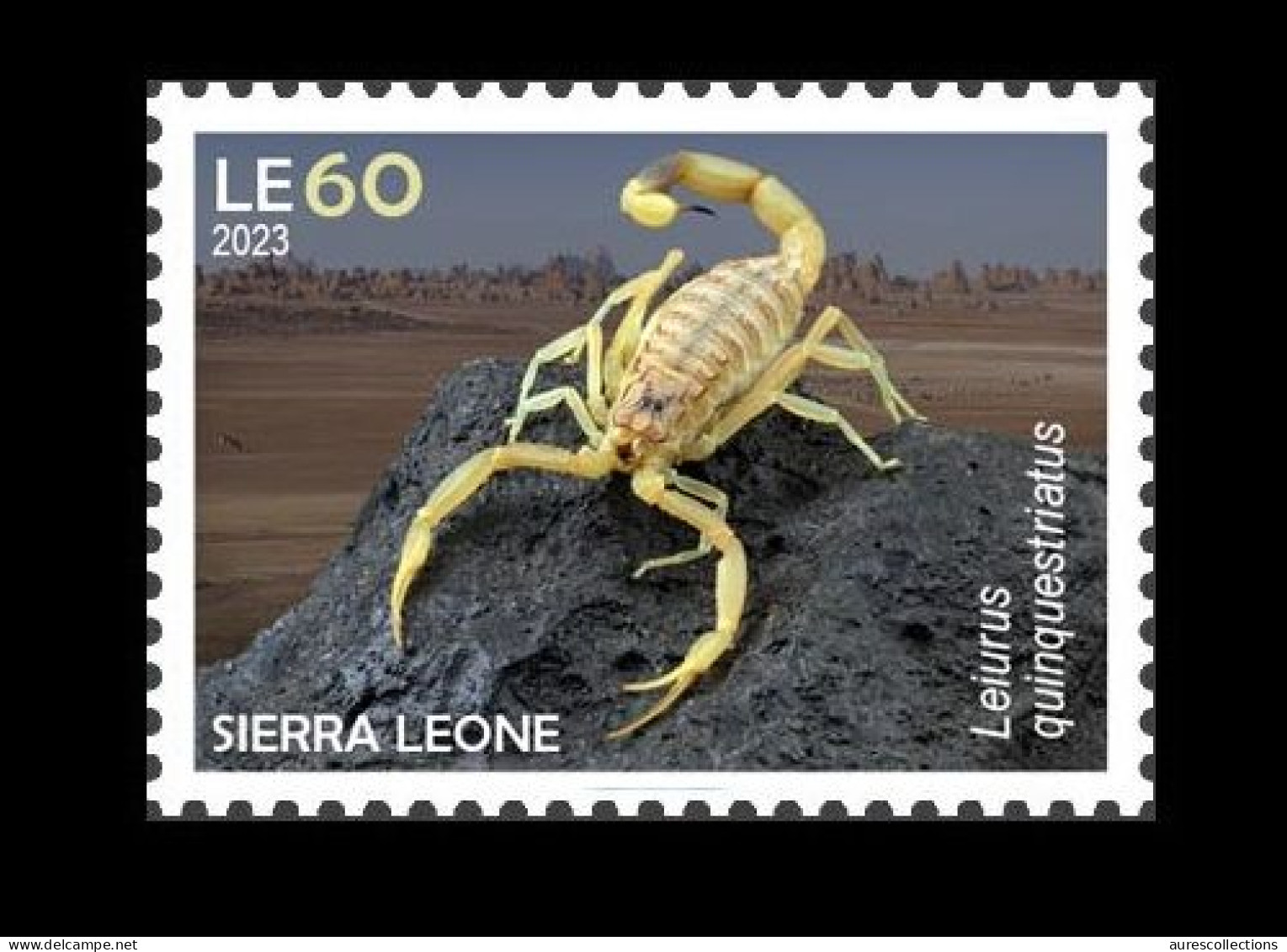 SIERRA LEONE 2023 STAMP 1V - POISONOUS TOXIC VENOMOUS - SPIDERS SCORPIONS SCORPION - MNH - Spinnen