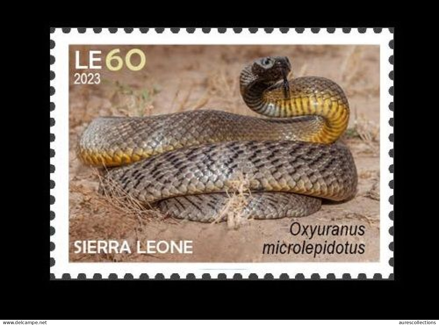 SIERRA LEONE 2023 STAMP 1V - POISONOUS TOXIC VENOMOUS - SNAKE SNAKES SERPENT SERPENTS REPTILES REPTILE - MNH - Serpents