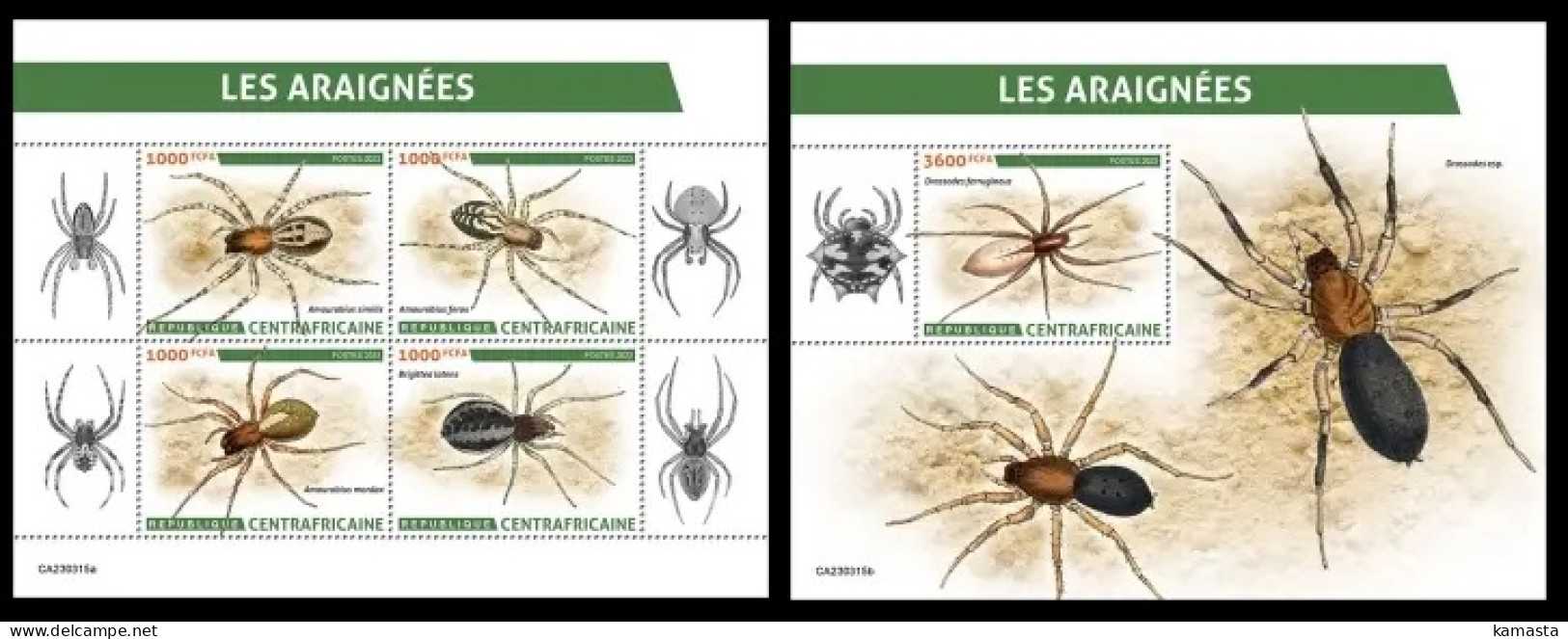 Central Africa  2023 Spiders. (315) OFFICIAL ISSUE - Ragni