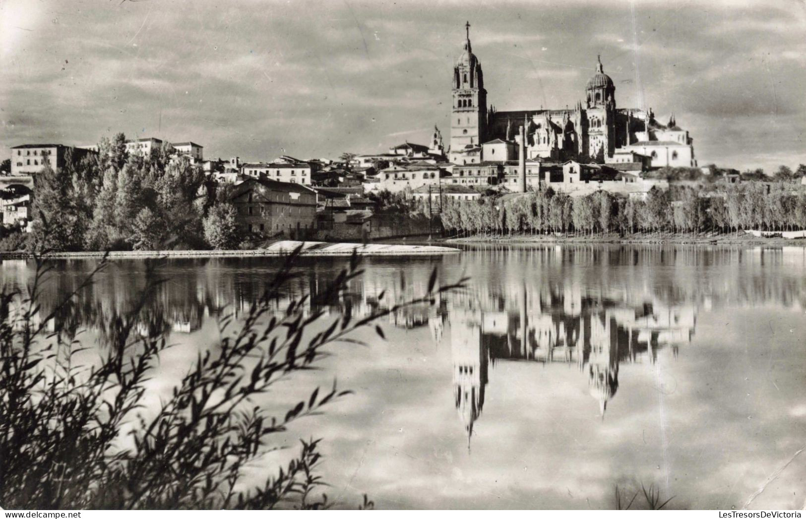 ESPAGNE  - Salamanca - Vue Partielle - Carte Postale Ancienne - Salamanca