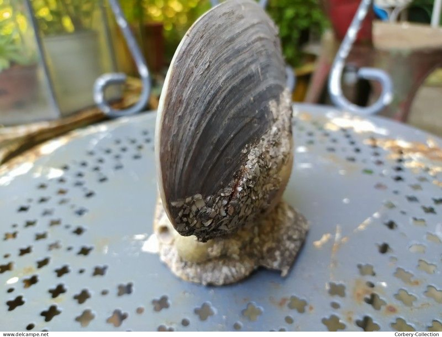 Ancien Souvenir Début XXème Encrier Coquillage Peint Paquebot France. - Tintenfässer