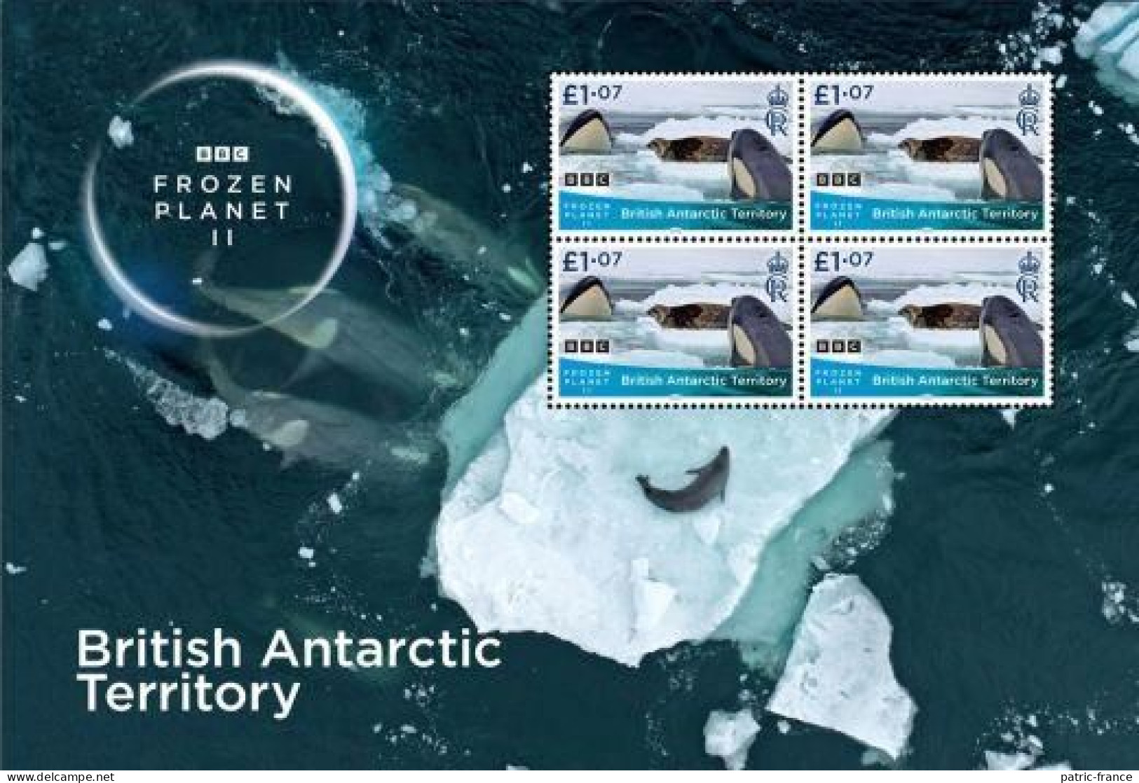 British Antarctic 2023 Frozen Planet BBC - Feuillet Orques (valeurs 1.07) - Ongebruikt