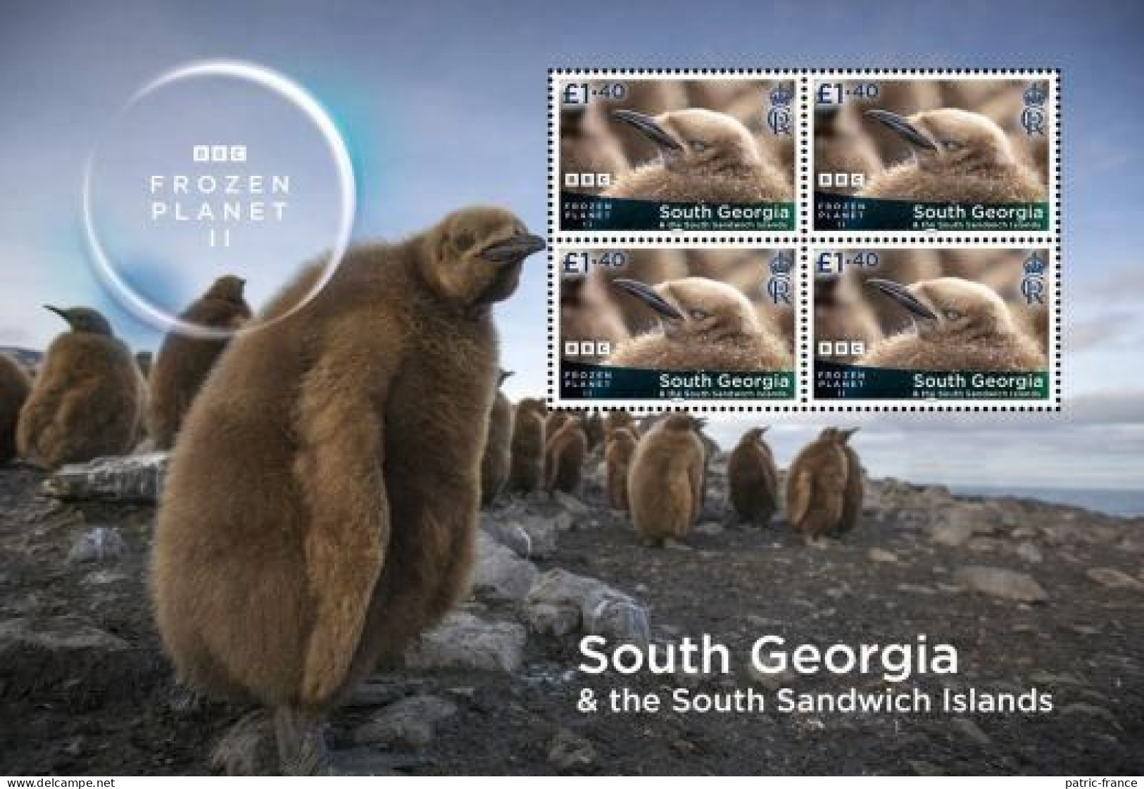 South Georgia Antarctic 2023 Frozen Planet BBC - Feuillet Manchot Royal - Penguins (valeurs 1.25) - Ongebruikt