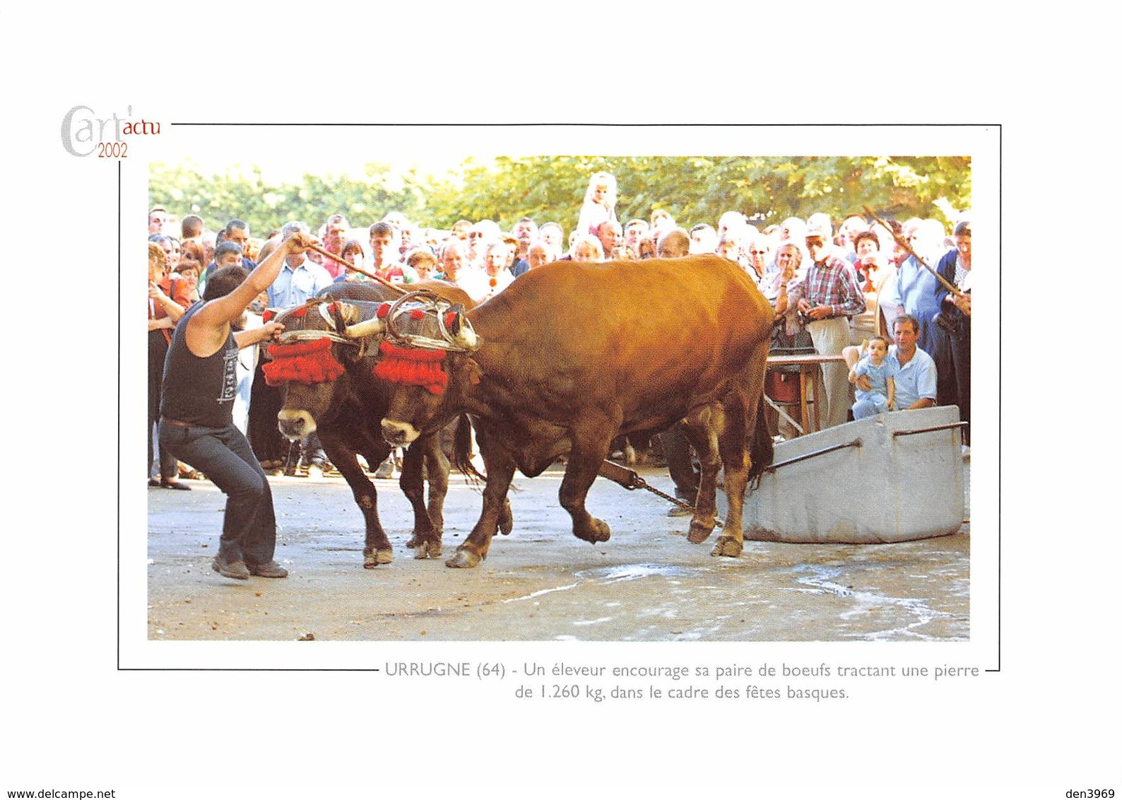 URRUGNE - Un éleveur Encourage Sa Paire De Boeufs Tractant Une Pierre De 1.260 Kg - Fêtes Basques - Urrugne