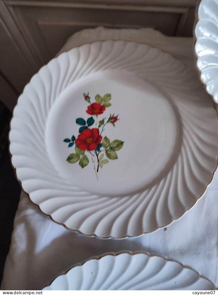 Cinq Assiettes Plates Faïence Keller & Guérin Décor De Fleurs  Modèle Tradition - Lunéville (FRA)